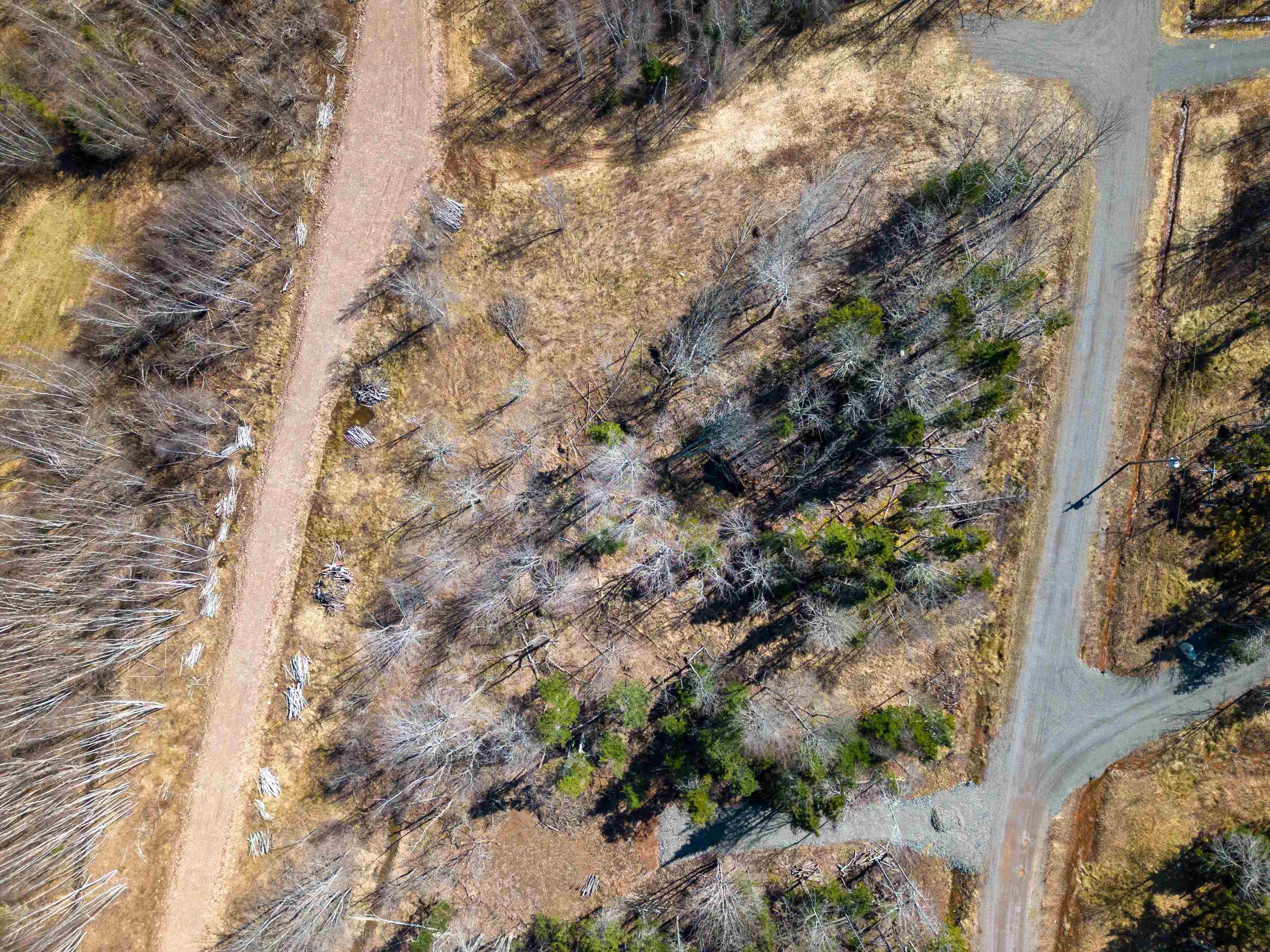 $65,000.00: Lot 21-2 Black Spruce Lane, Wentworth