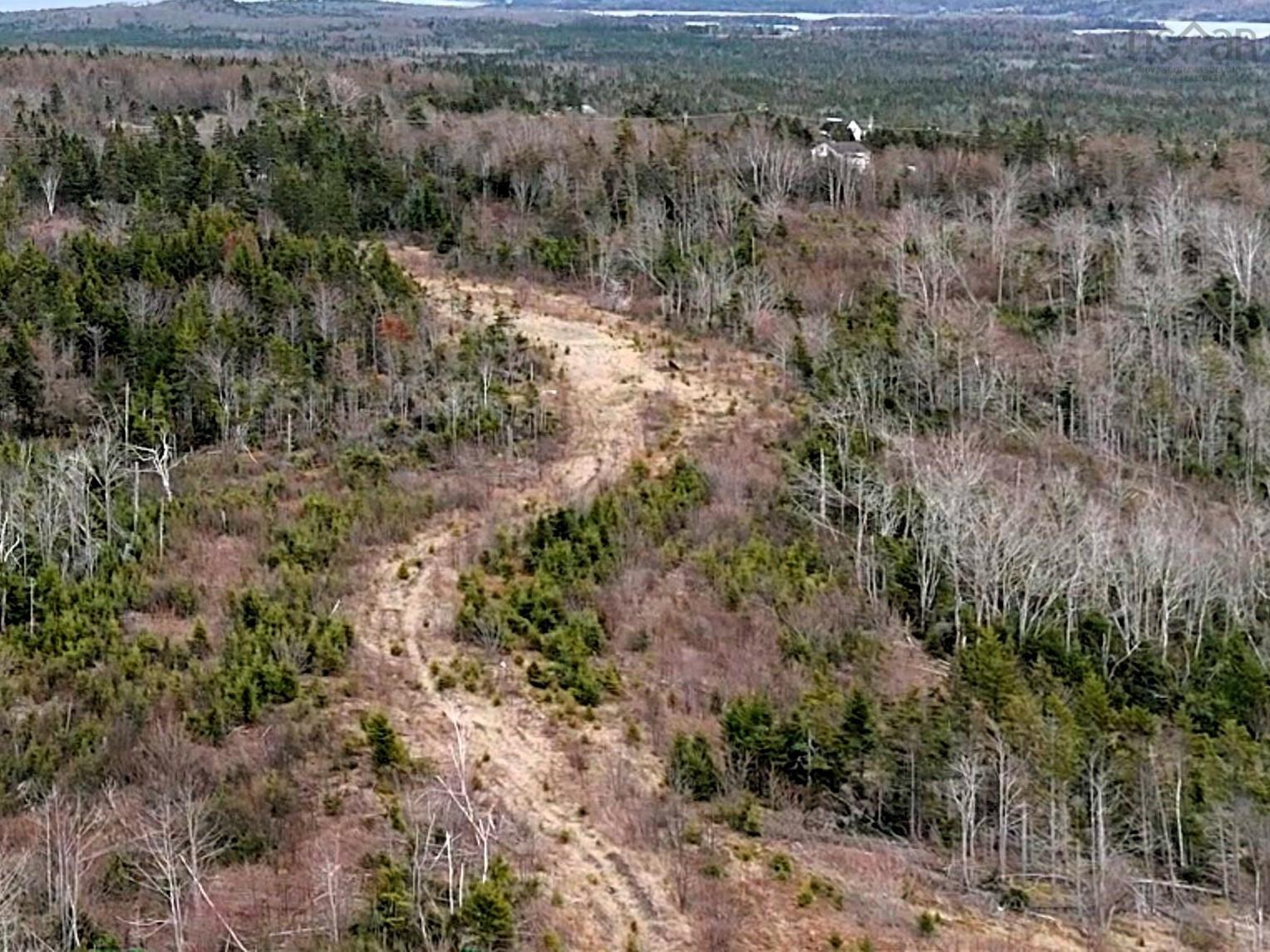 $199,000.00: Louisbourg Highway, Catalone