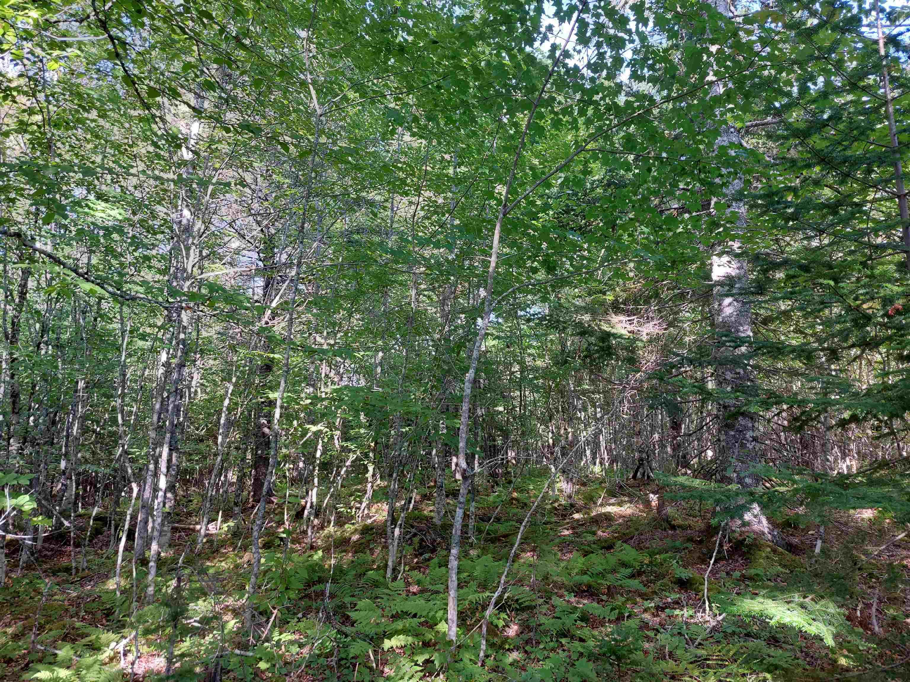 $35,000.00: Lot 25 Doris Lane, Kempt Road