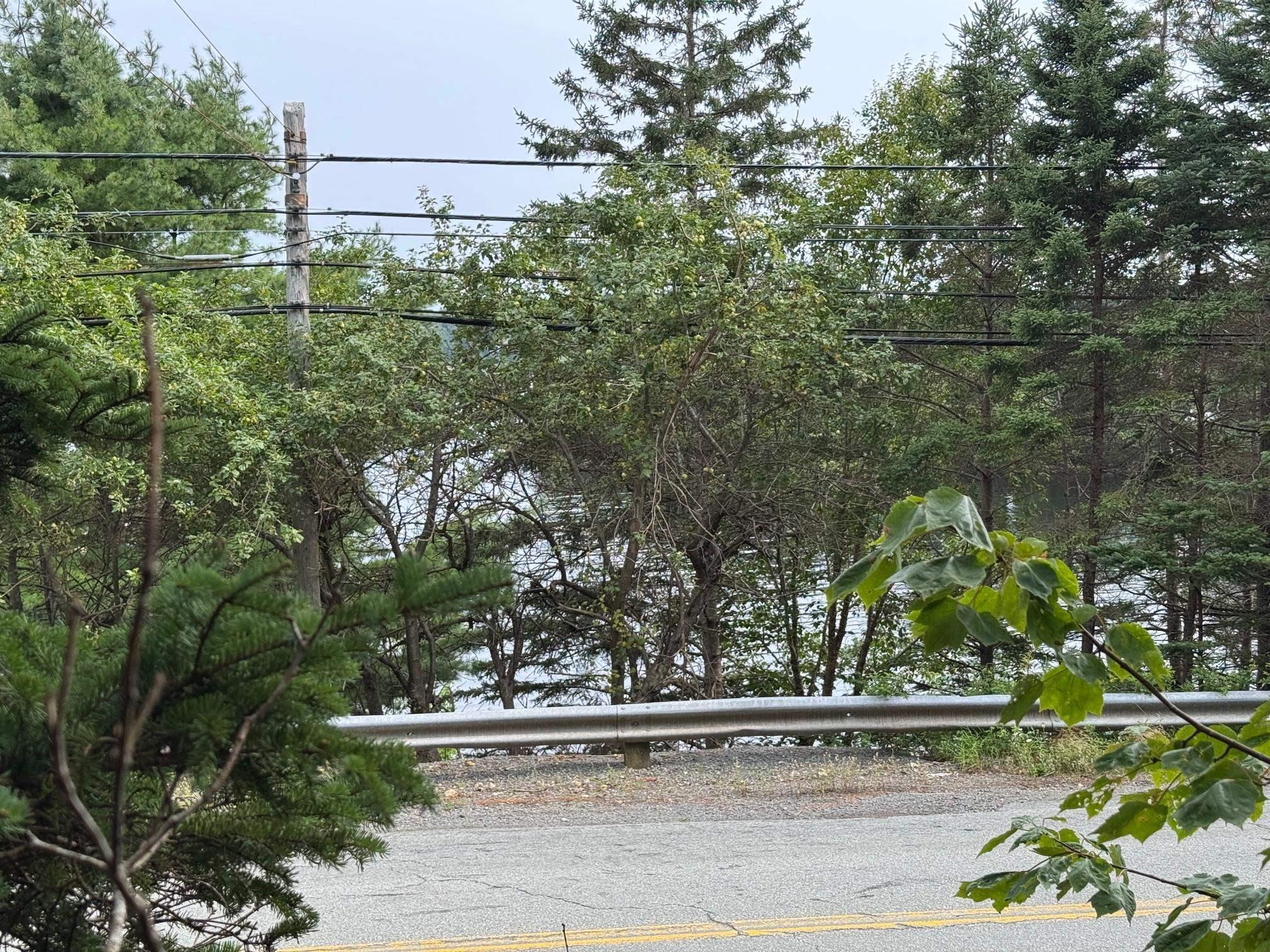 St Margarets Bay Road, St Margaret's Bay, NS (MLS 202510442)