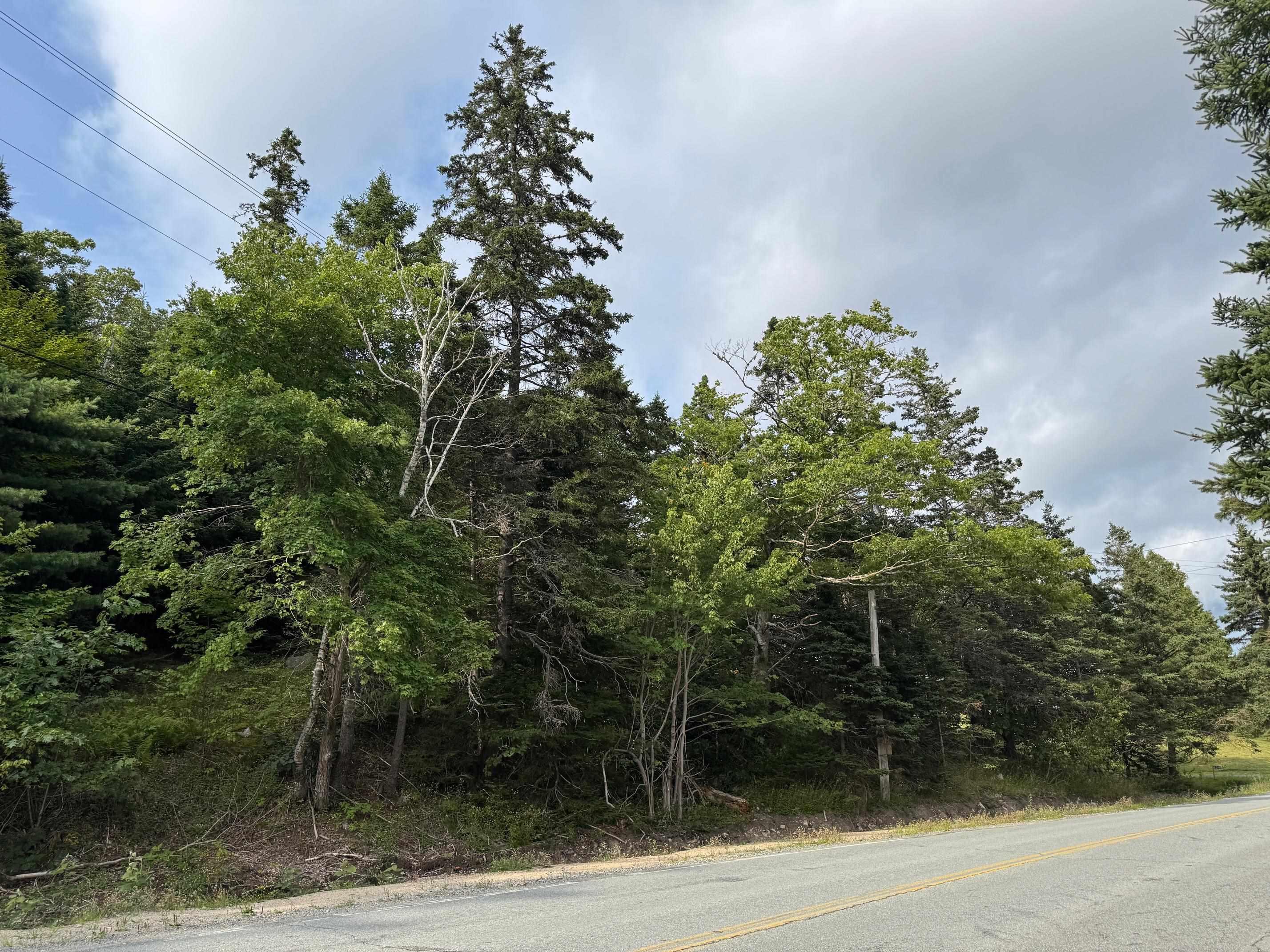 St Margarets Bay Road, St Margaret's Bay, NS (MLS 202510442)