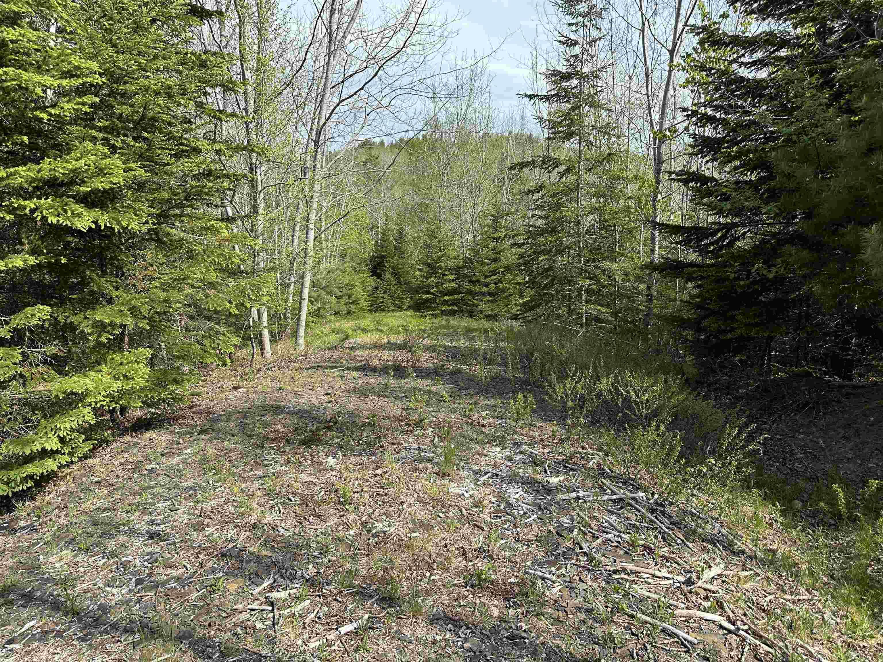 $81,420.00: Lot 1 Osborne Road, New Germany
