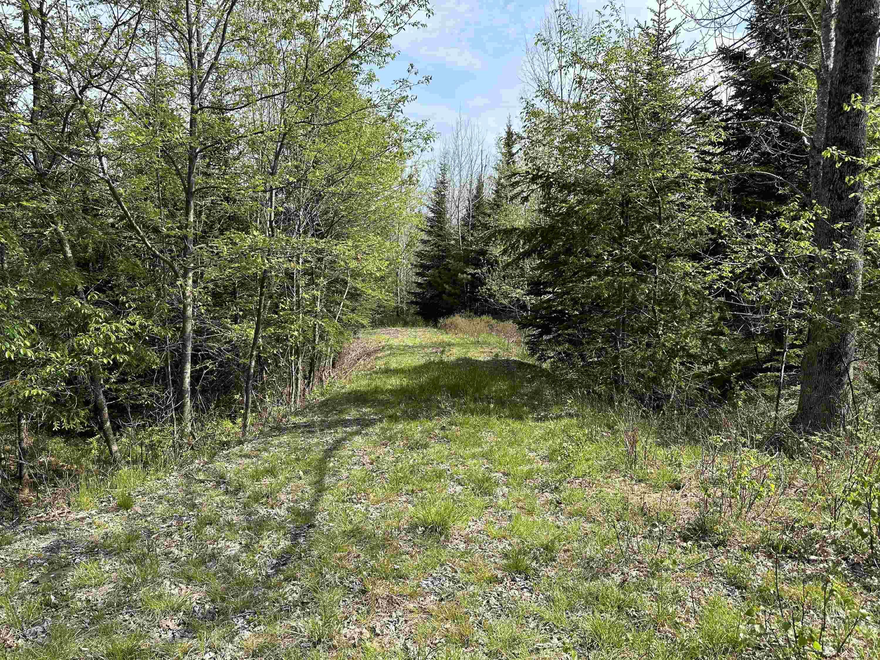 $81,420.00: Lot 1 Osborne Road, New Germany