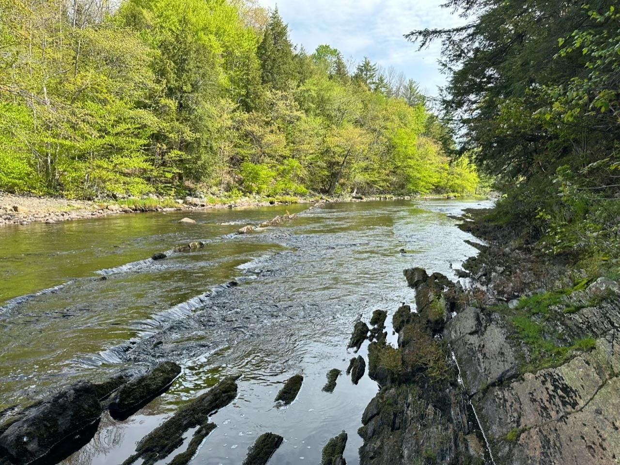 $103,845.00: Lot 3 Osborne Road, New Germany