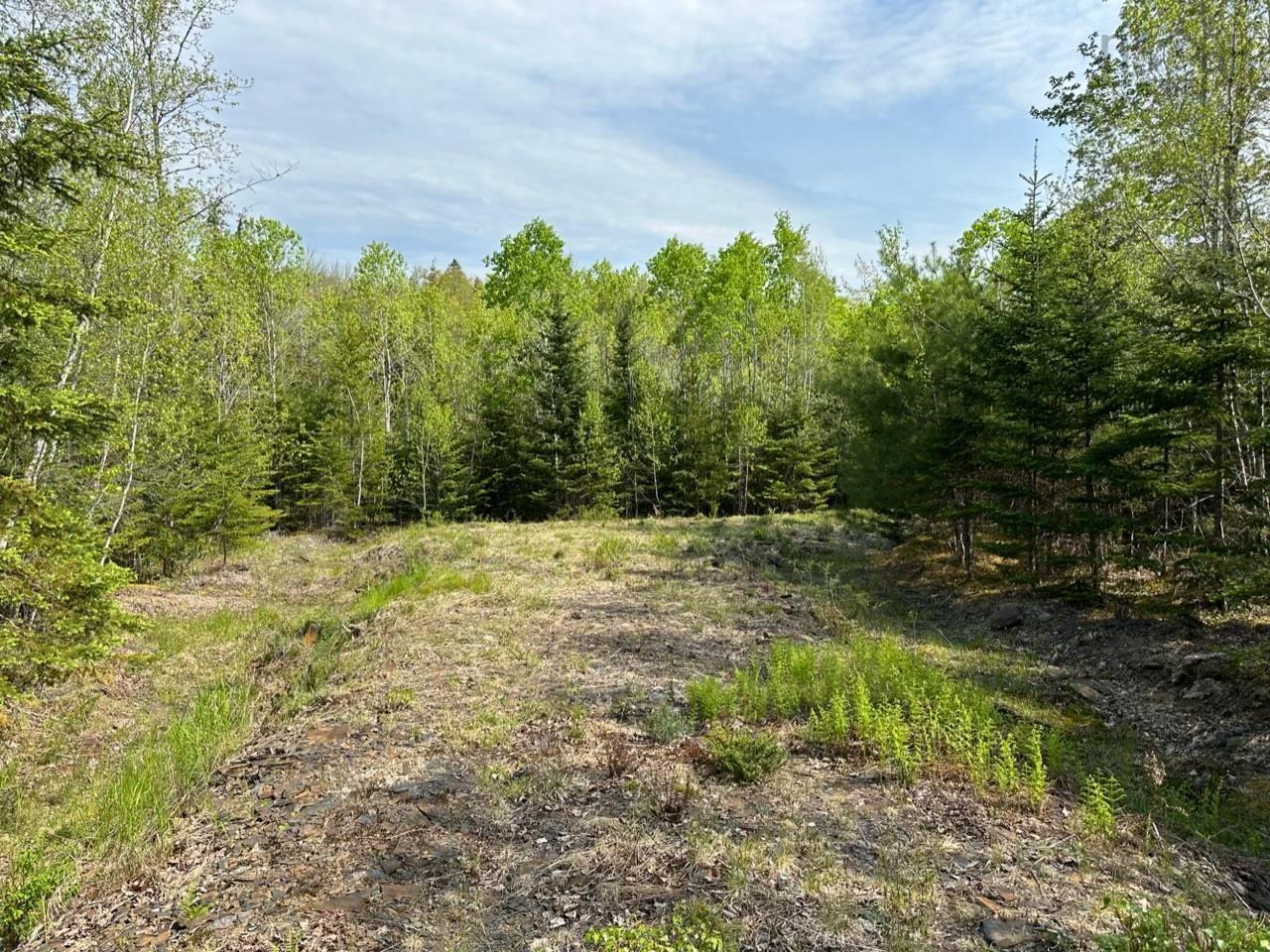 $103,845.00: Lot 3 Osborne Road, New Germany