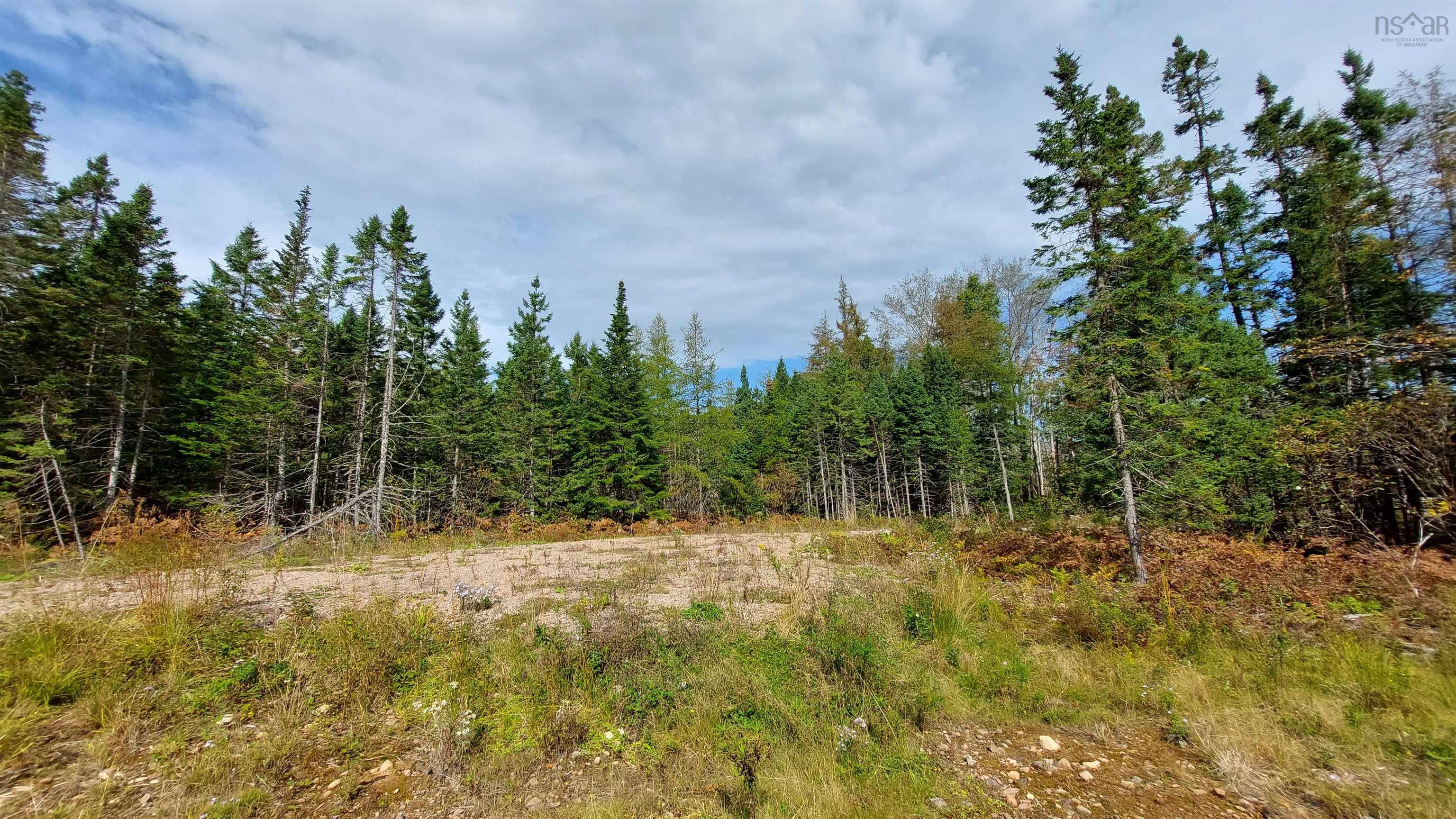 $59,000.00: Lot 7 Lower River Rd, Cleveland