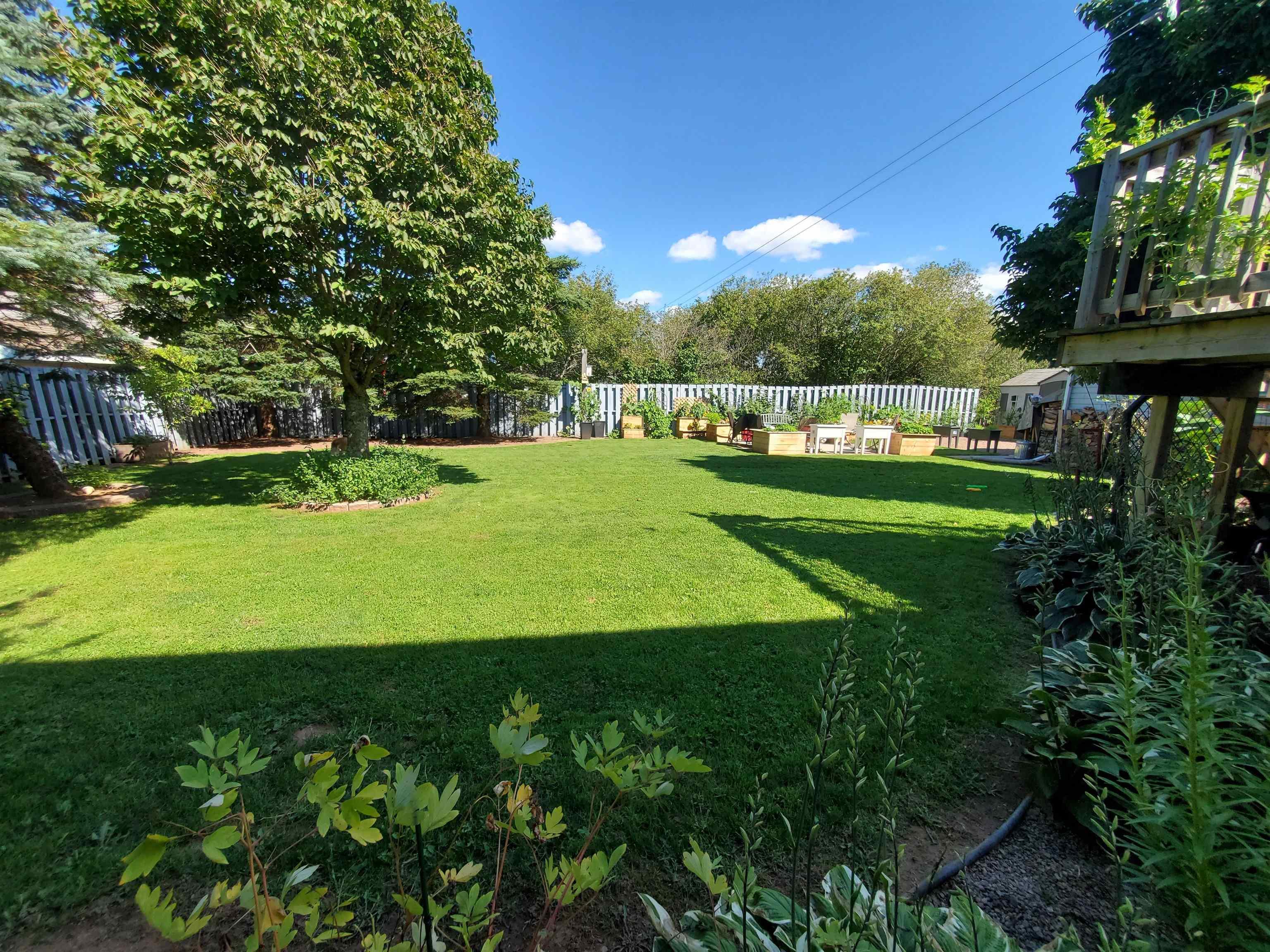 $469,000.00: 205 OLD COURT HOUSE BRANCH Road, Valley