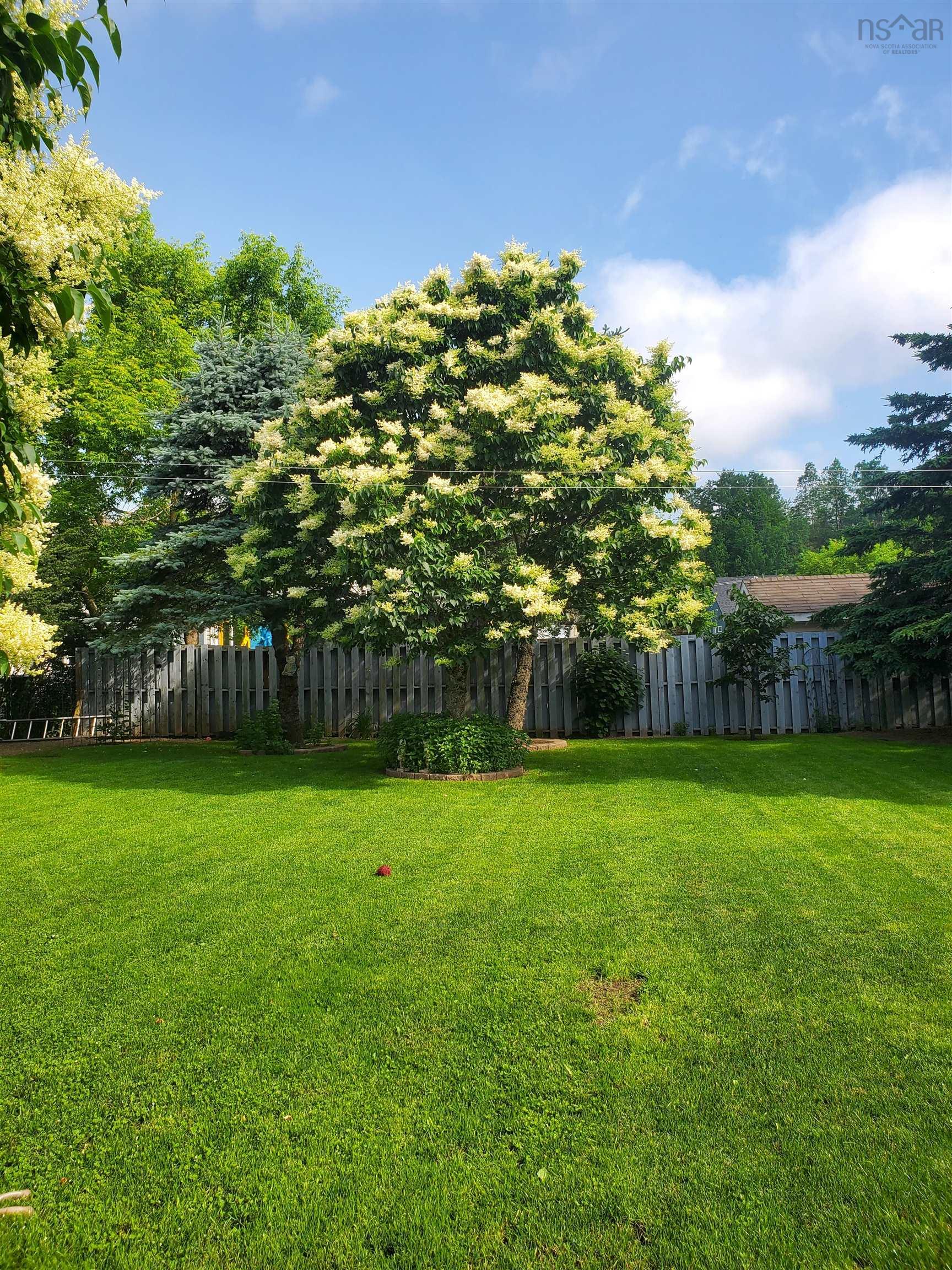 $469,000.00: 205 OLD COURT HOUSE BRANCH Road, Valley