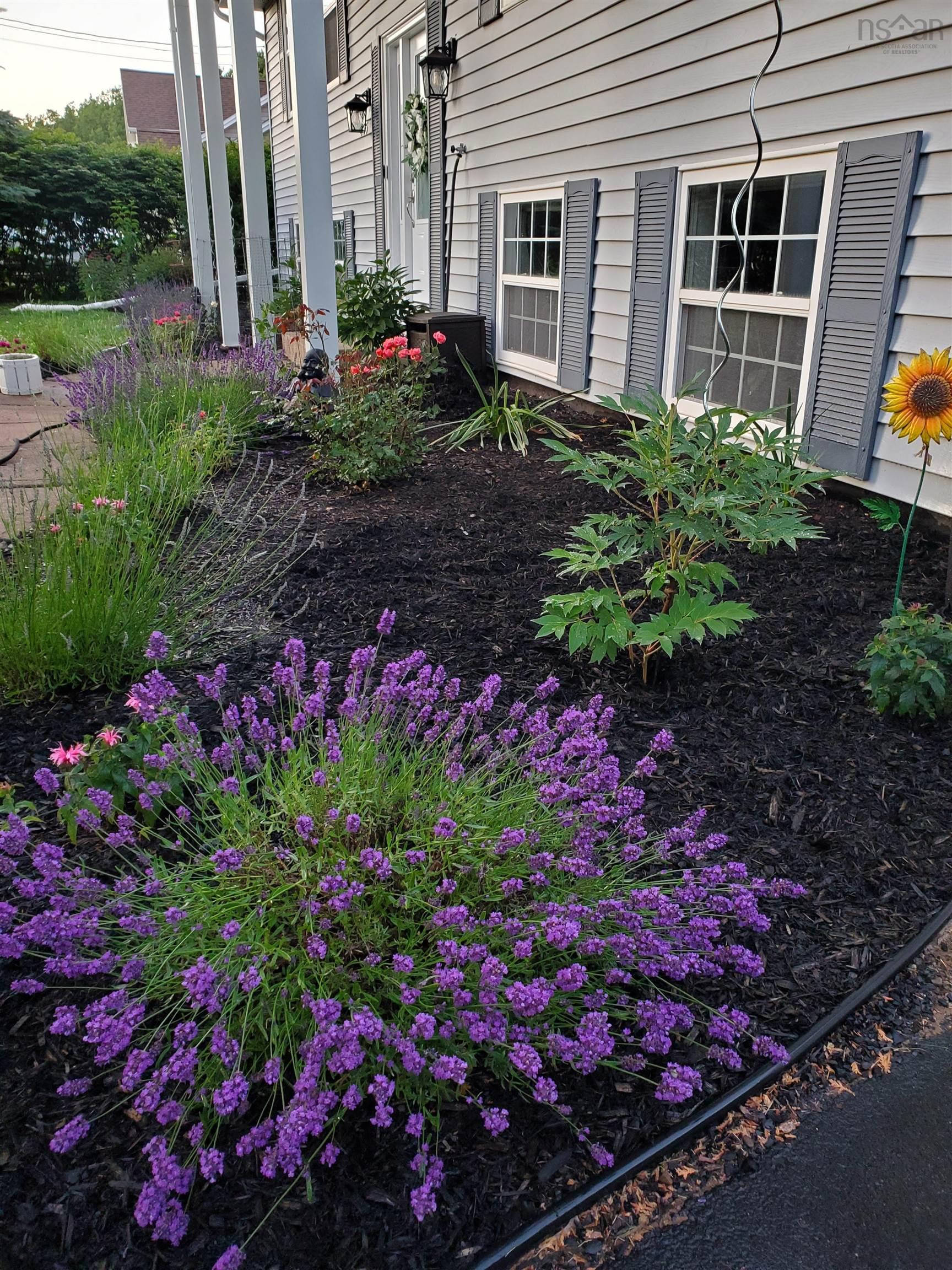 $469,000.00: 205 OLD COURT HOUSE BRANCH Road, Valley