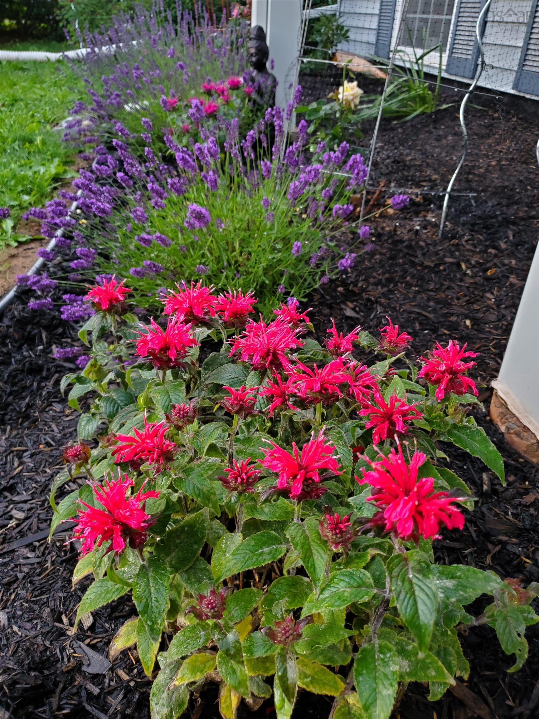 $469,000.00: 205 OLD COURT HOUSE BRANCH Road, Valley