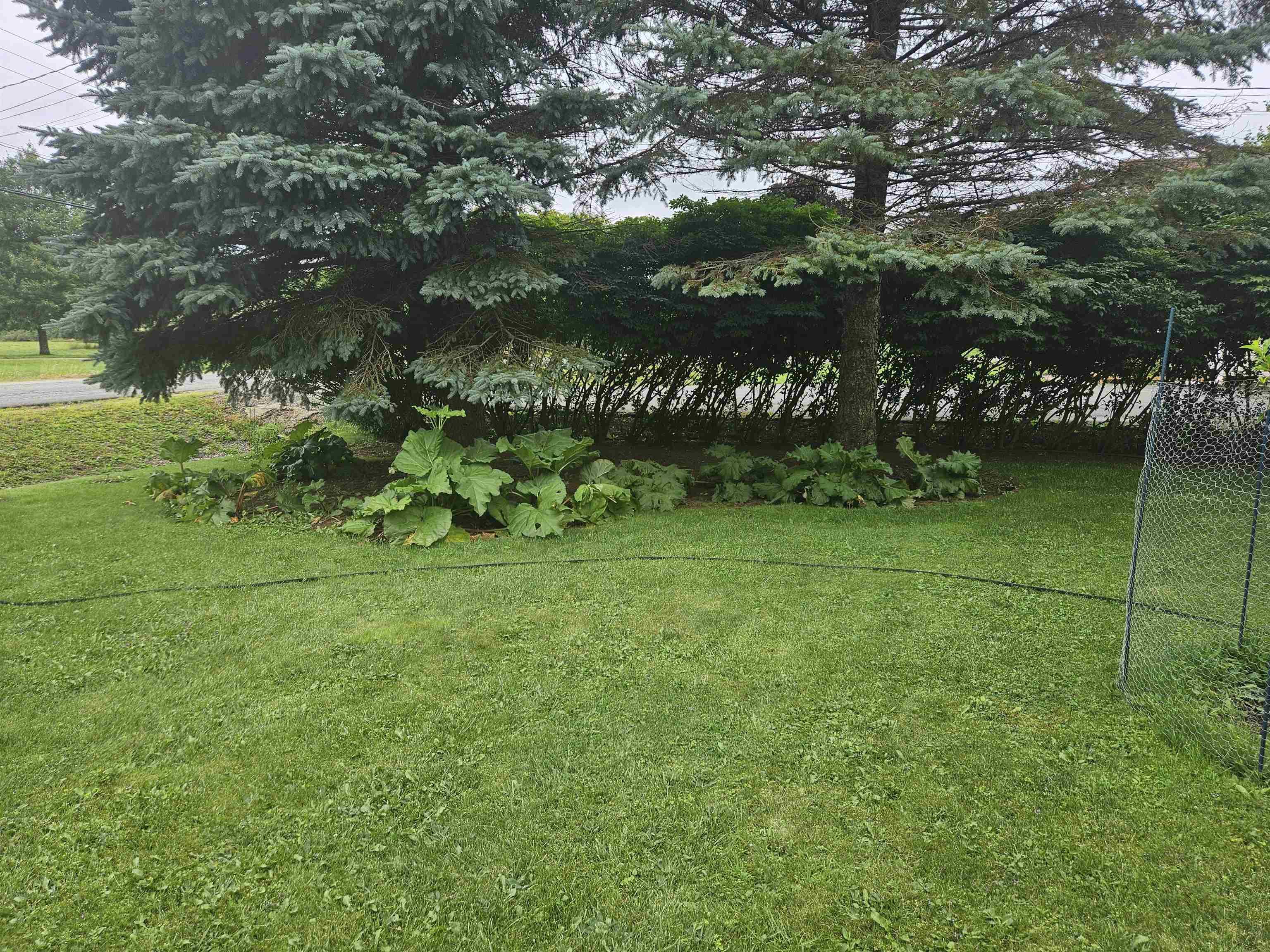 $469,000.00: 205 OLD COURT HOUSE BRANCH Road, Valley