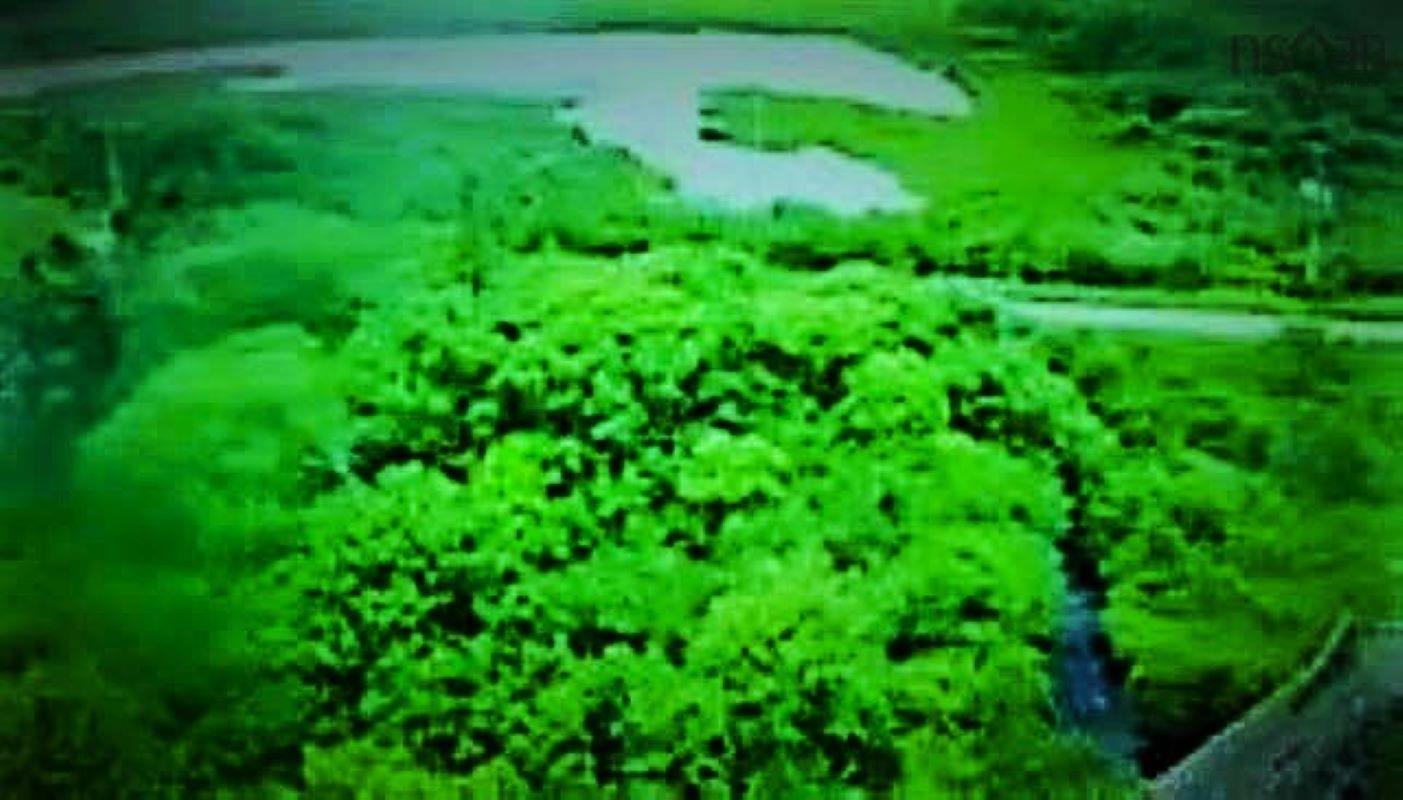 $22,000.00: Lots Popes Road / Hwy 3, Upper Woods Harbour