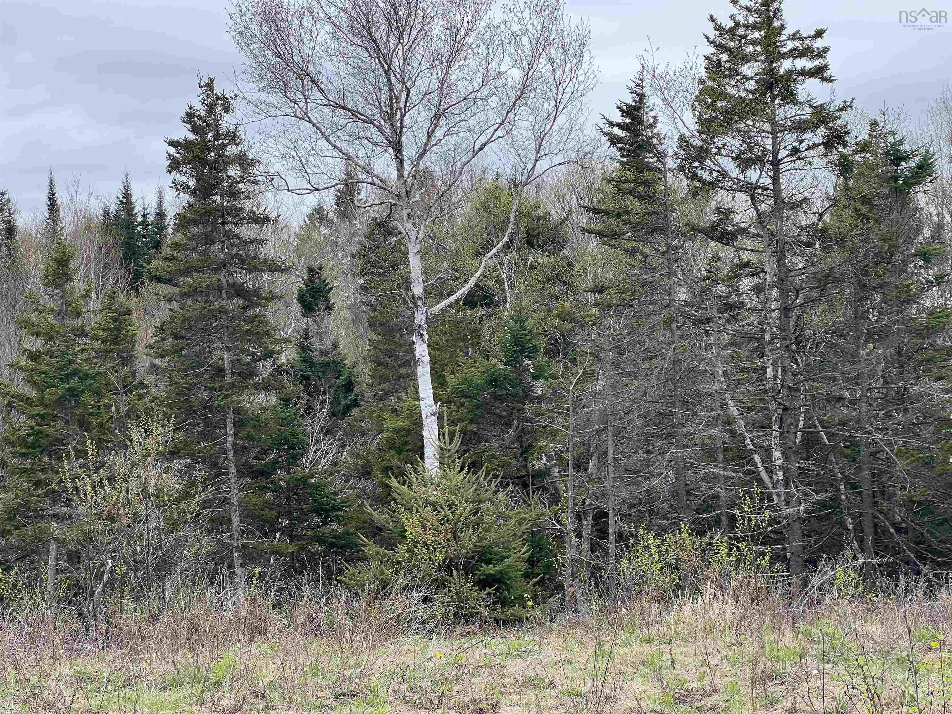 $97,500.00: Lot RJG-1 Long Beach Road, West Glenmont