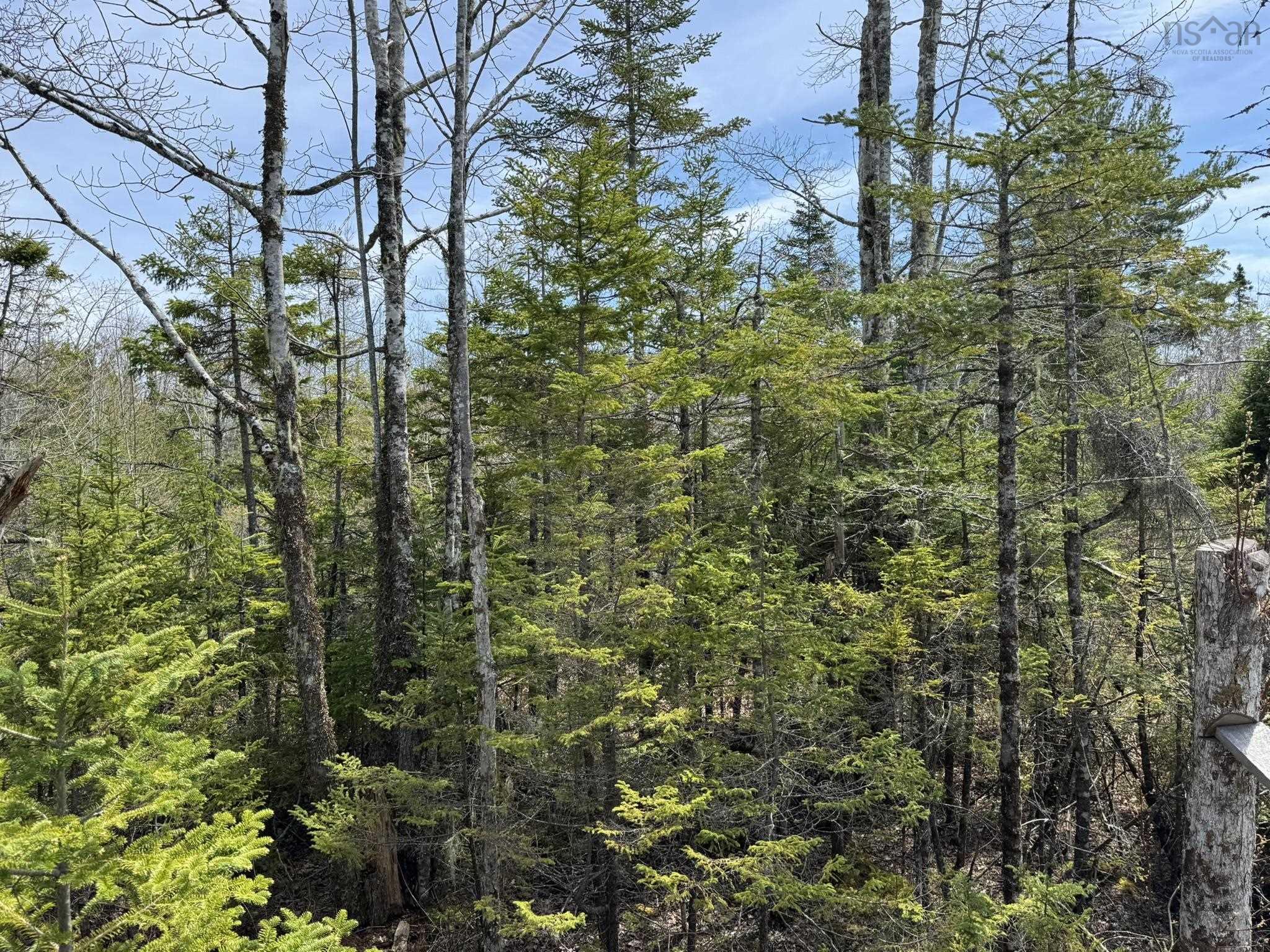 $574,900.00: 7714 Highway 3, Summerville Centre