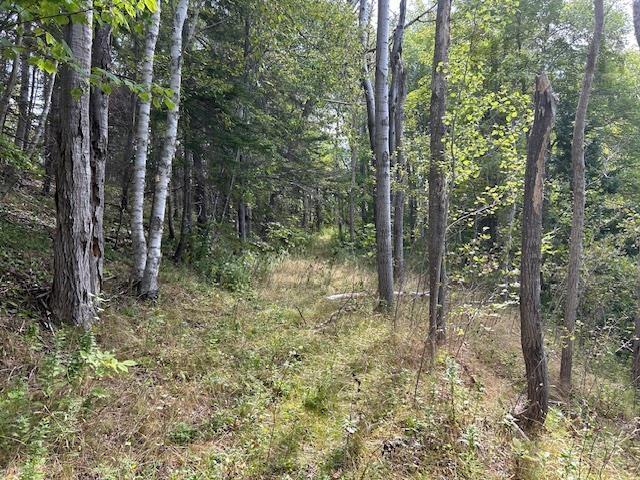 $139,000.00: 7319 223 Highway, Big Beach
