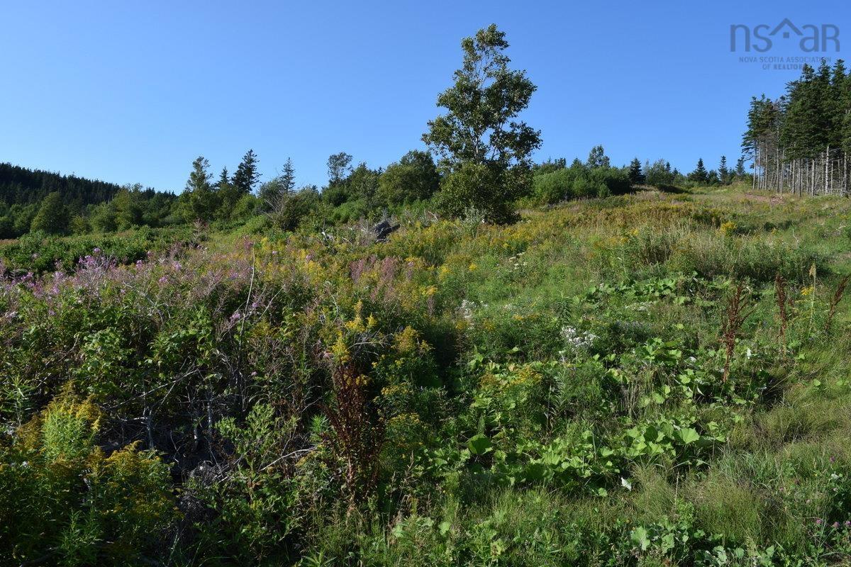 $155,000.00: Lot 3CH-19 Private Road, Mabou Harbour
