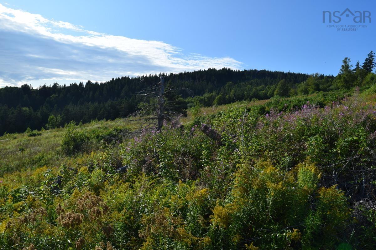 $155,000.00: Lot 3CH-19 Private Road, Mabou Harbour