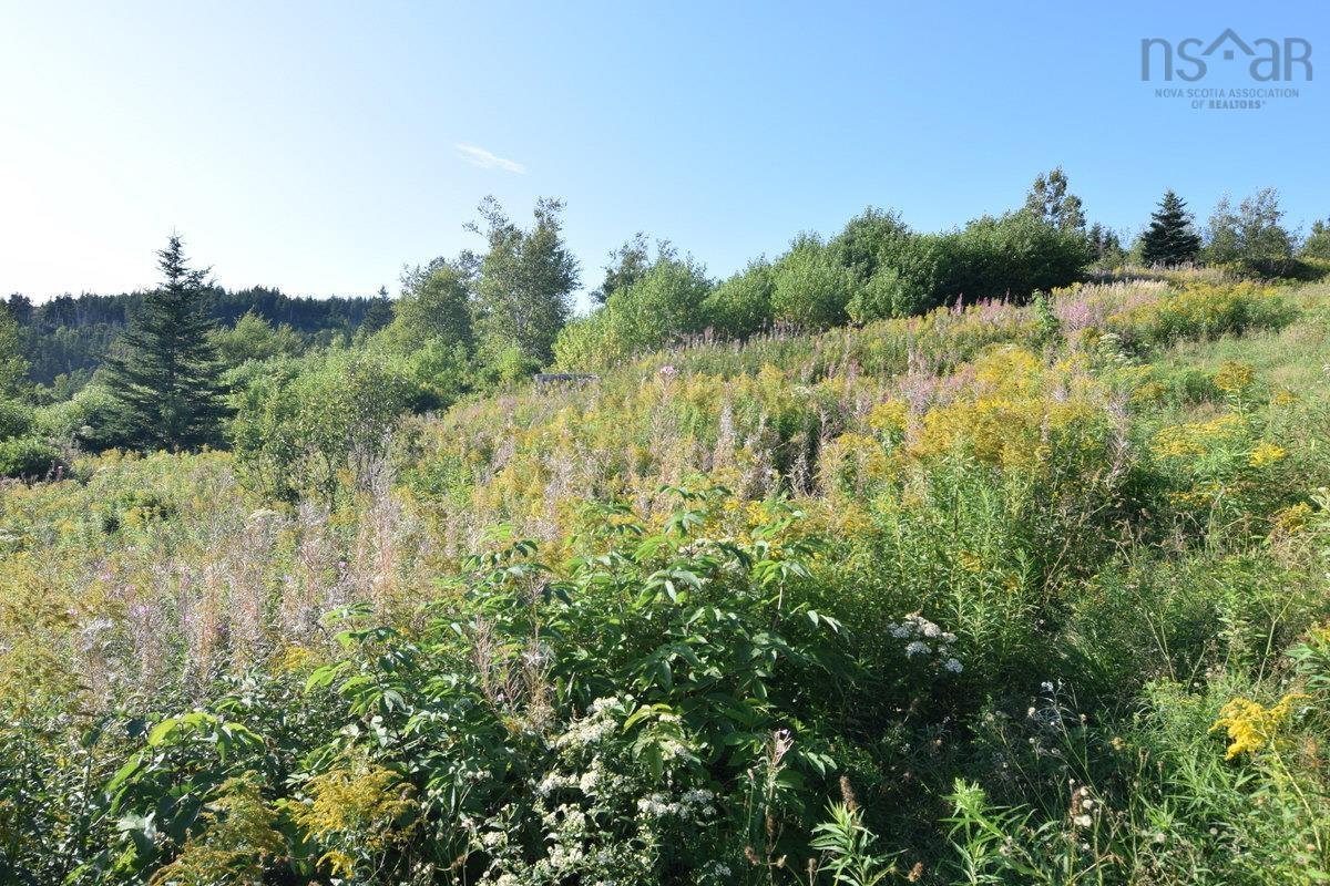 $155,000.00: Lot 3CH-19 Private Road, Mabou Harbour