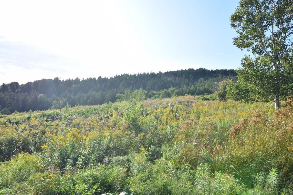 $155,000.00: Lot 3CH-19 Private Road, Mabou Harbour
