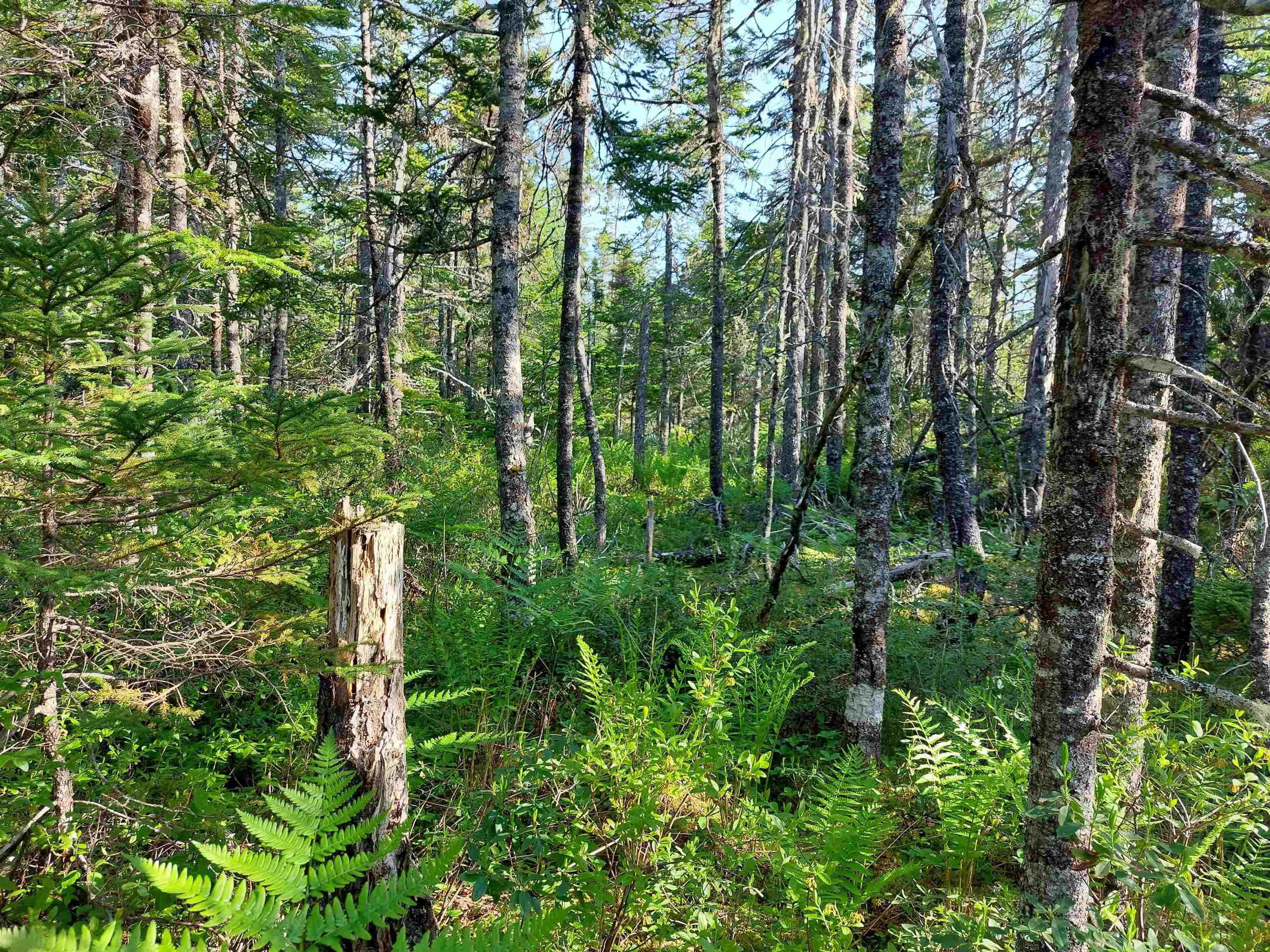 $39,500.00: Lot B1 Katja Rose Dr, Hay Cove