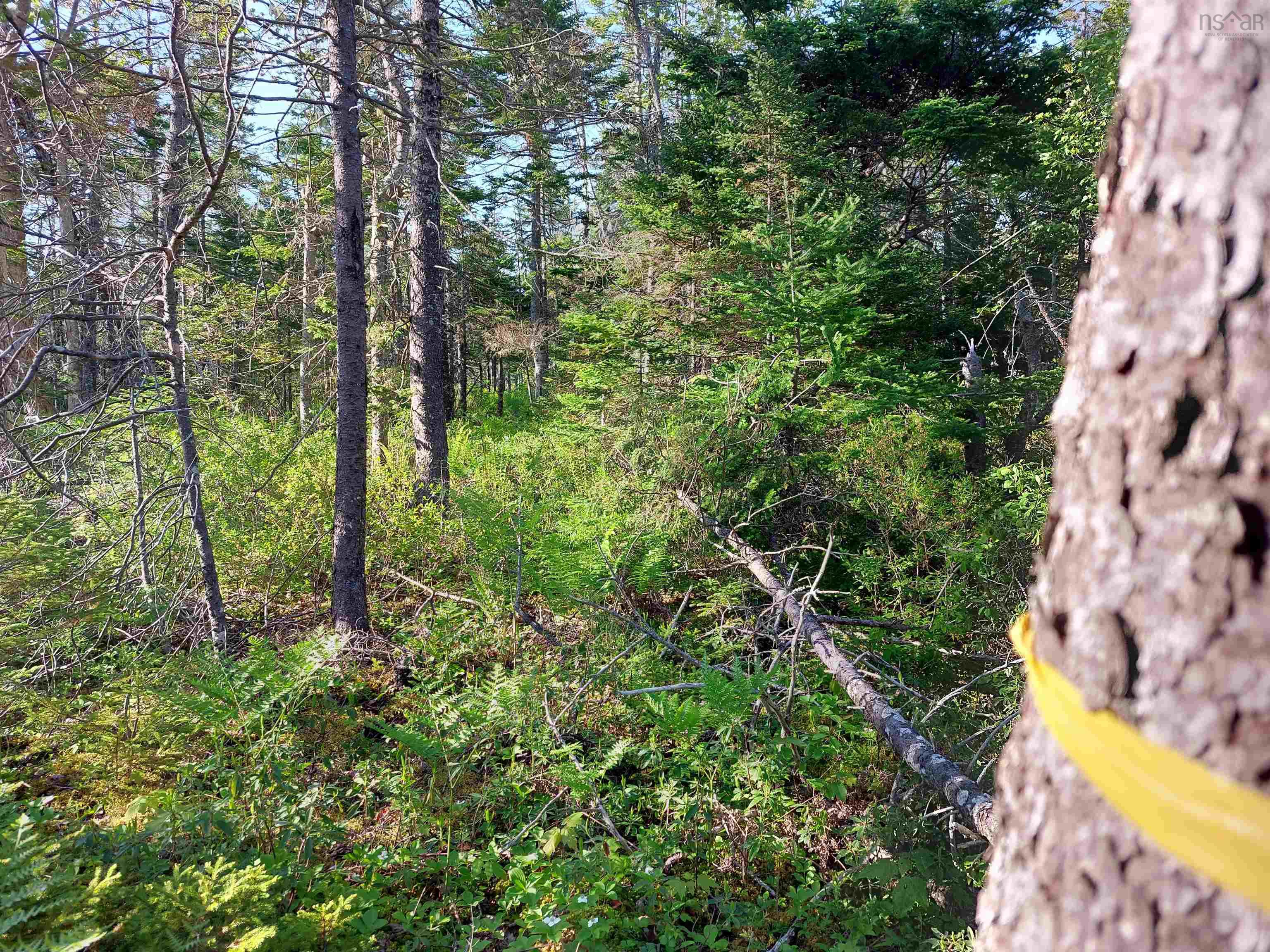 $39,500.00: Lot B1 Katja Rose Dr, Hay Cove