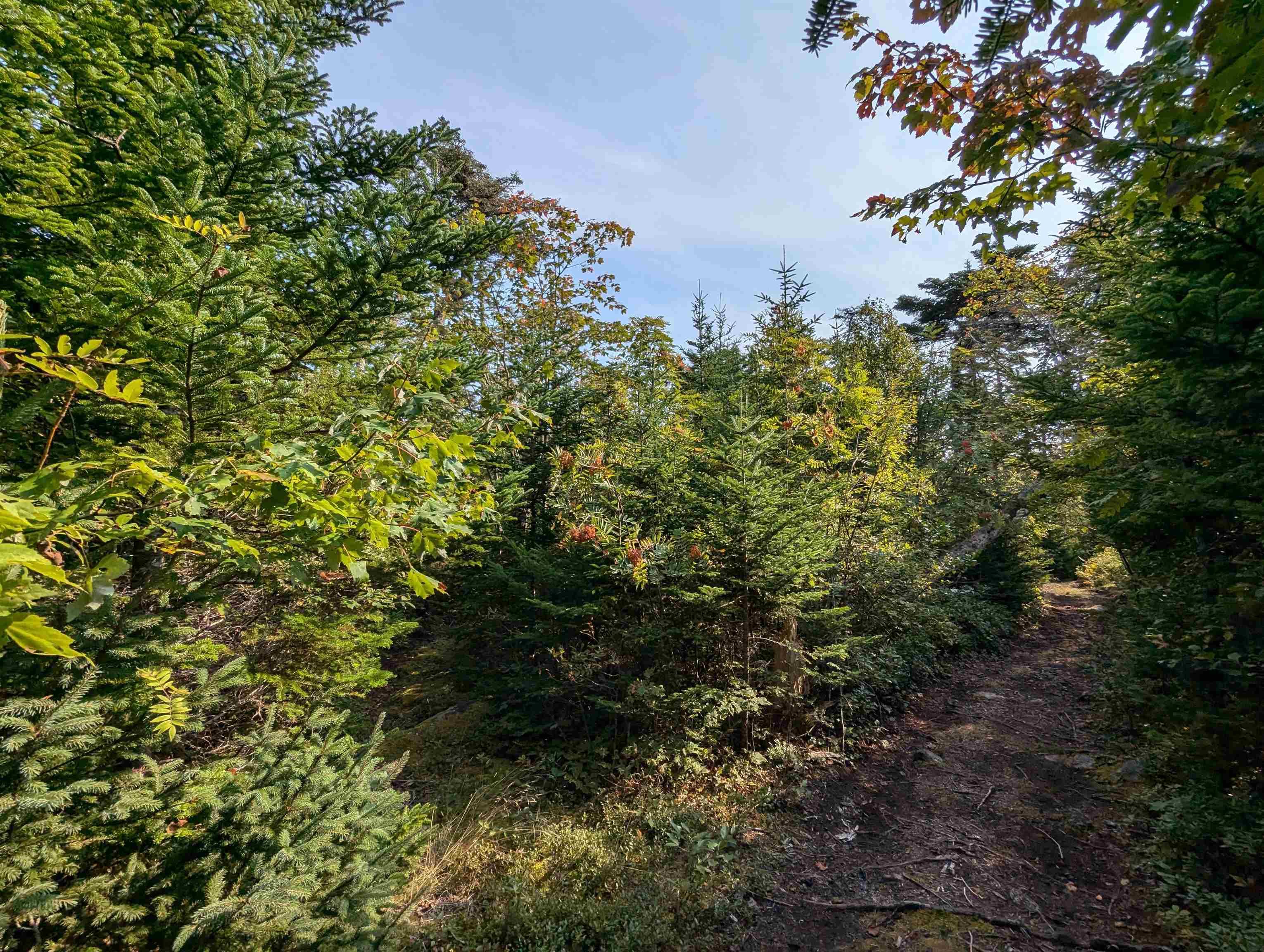 F-1 Brennans Road, Prospect Village, NS (MLS 202510684)