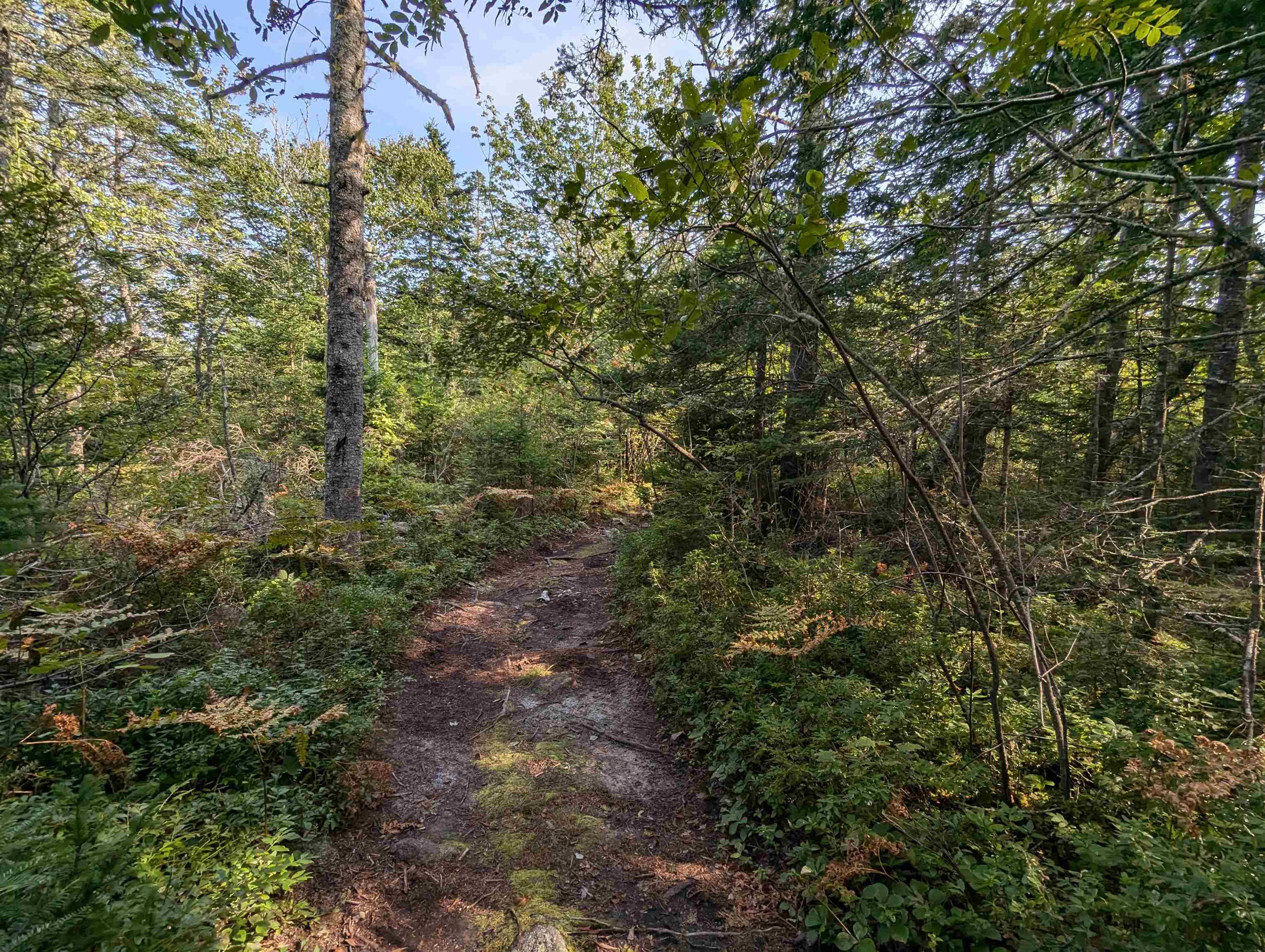 F-1 Brennans Road, Prospect Village, NS (MLS 202510684)