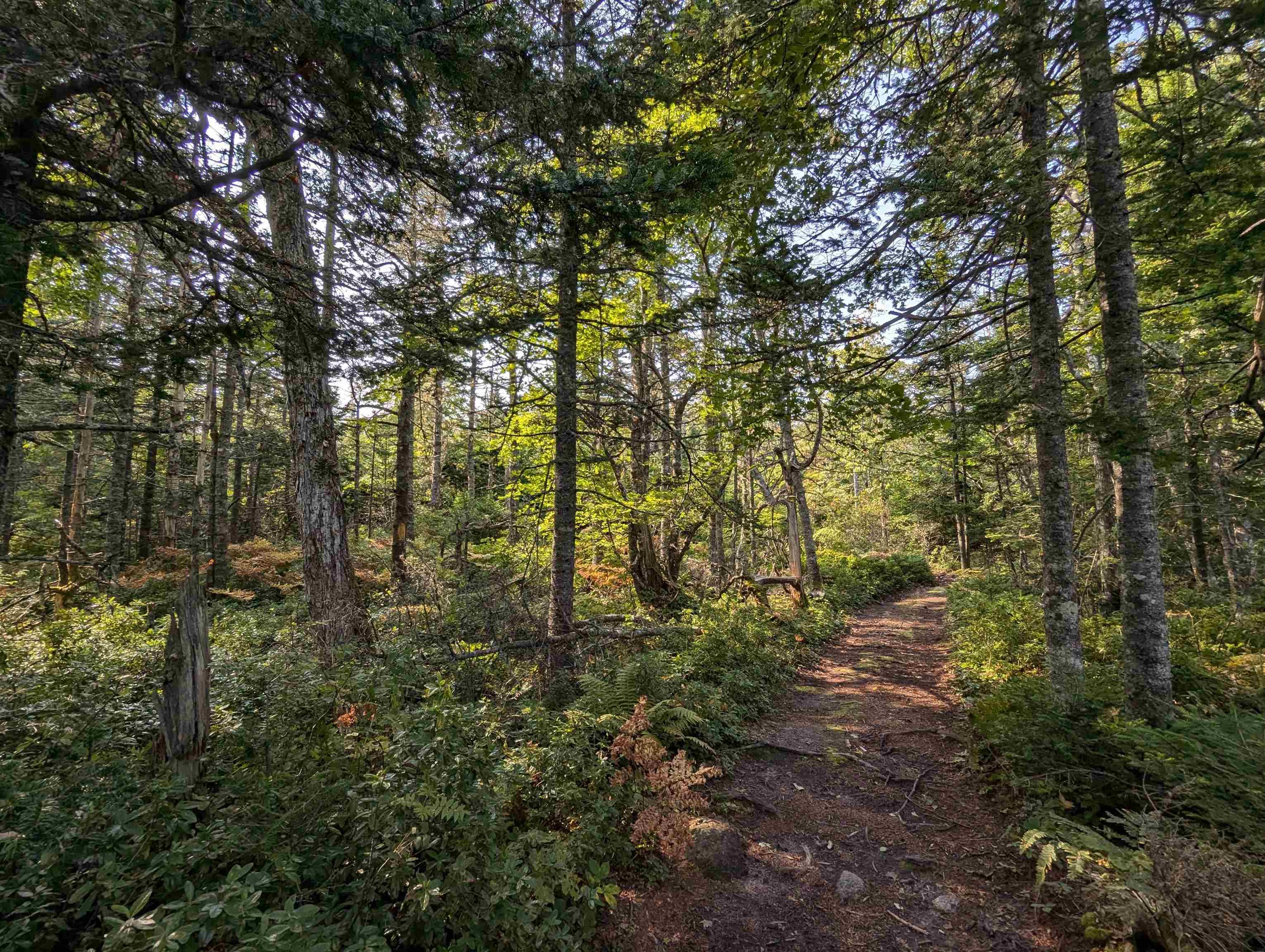 F-1 Brennans Road, Prospect Village, NS (MLS 202510684)