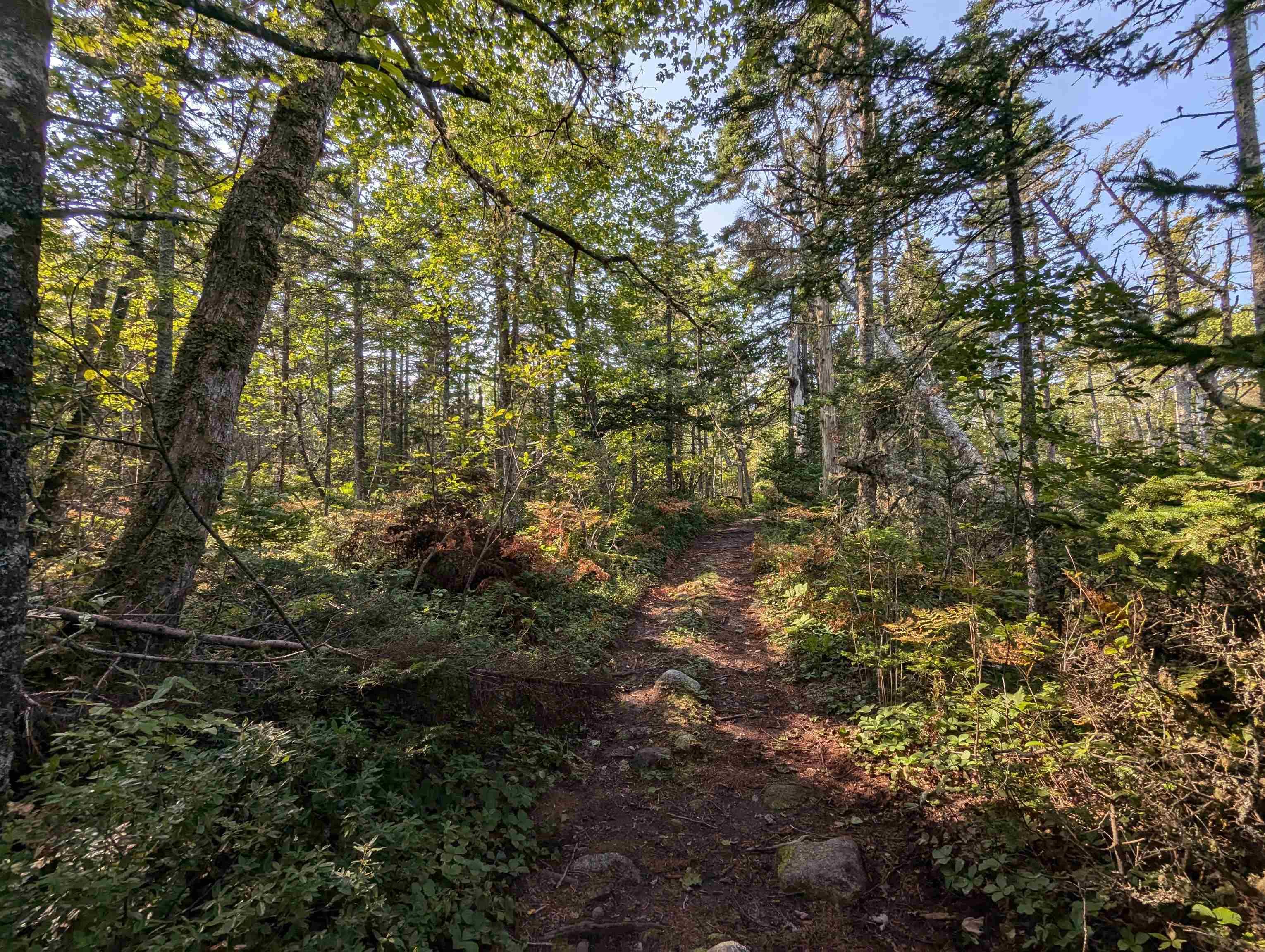 F-1 Brennans Road, Prospect Village, NS (MLS 202510684)