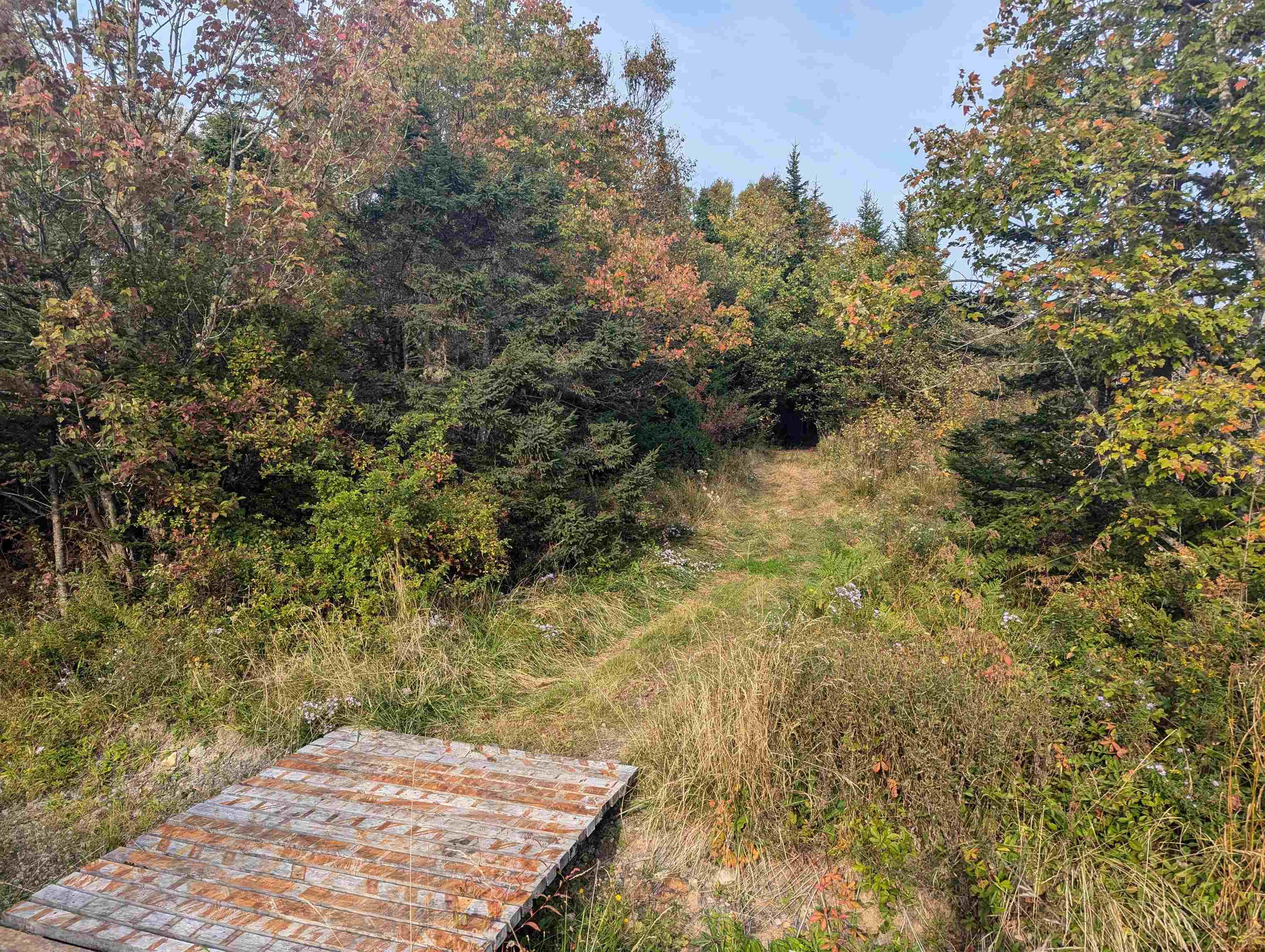 F-1 Brennans Road, Prospect Village, NS (MLS 202510684)