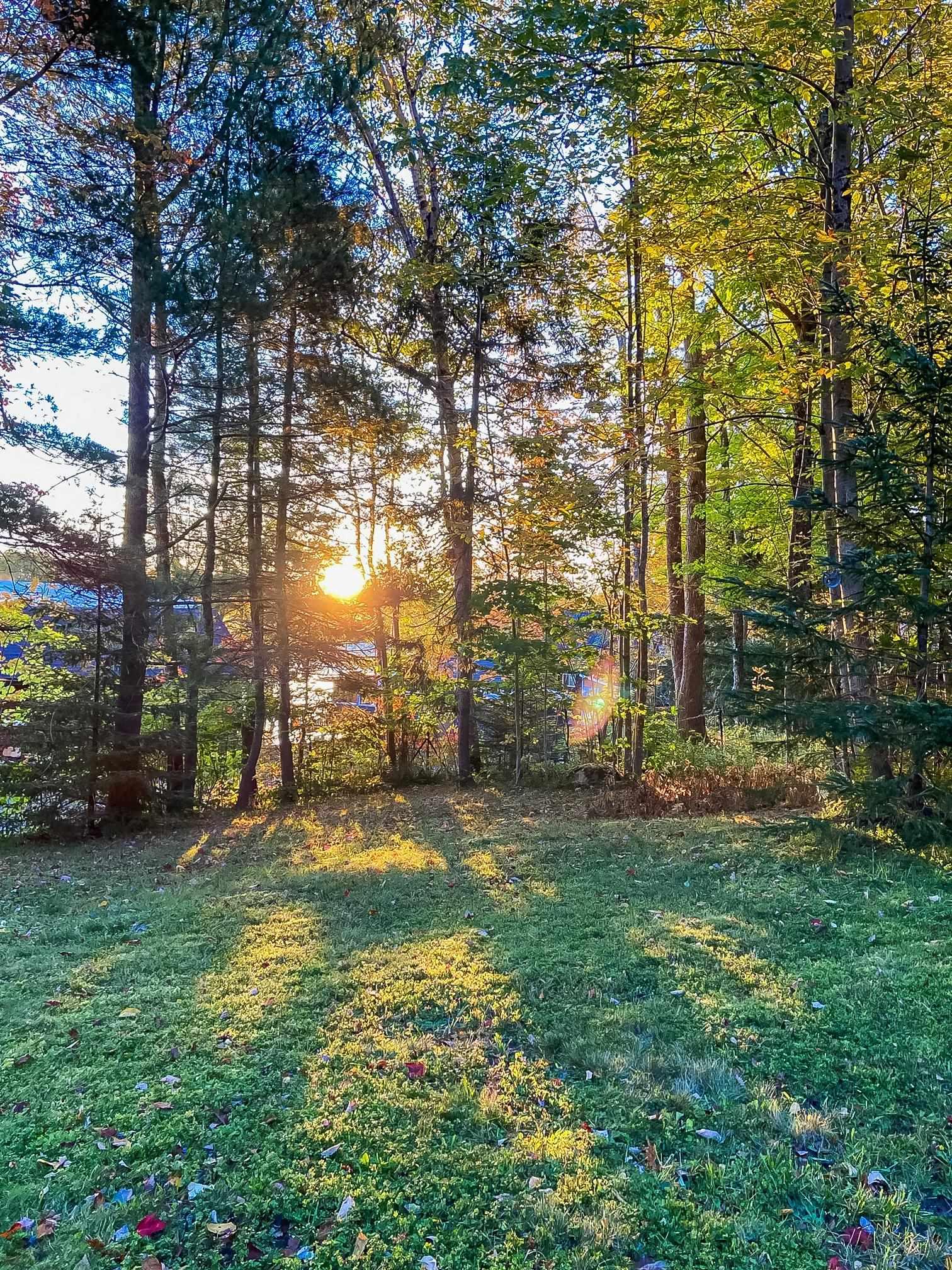 $449,500.00: 23/26 S-10 Road, Lake George