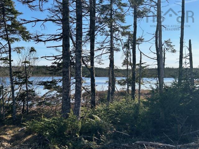 $149,000.00: Salmon River Road, Salmon River