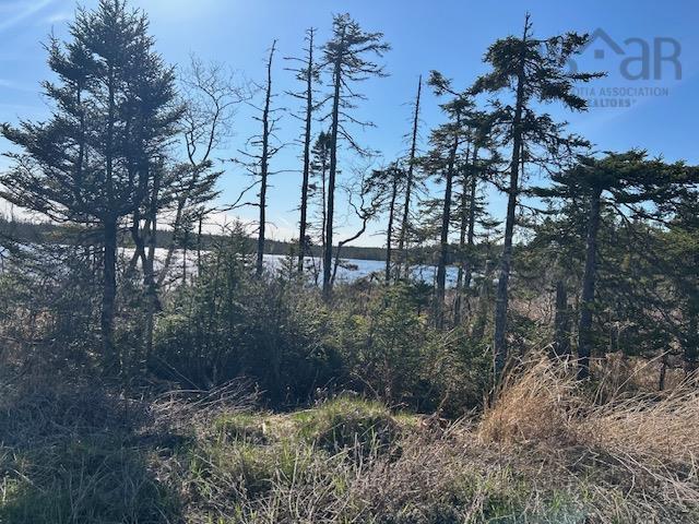 $149,000.00: Salmon River Road, Salmon River