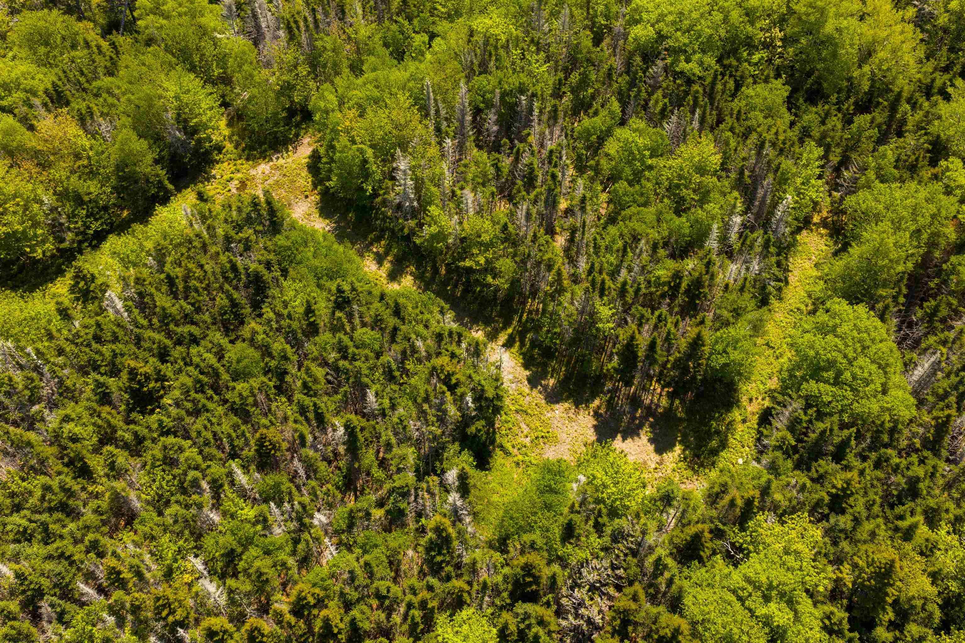 $50,000.00: 5 Lake Charlotte, Lake Charlotte