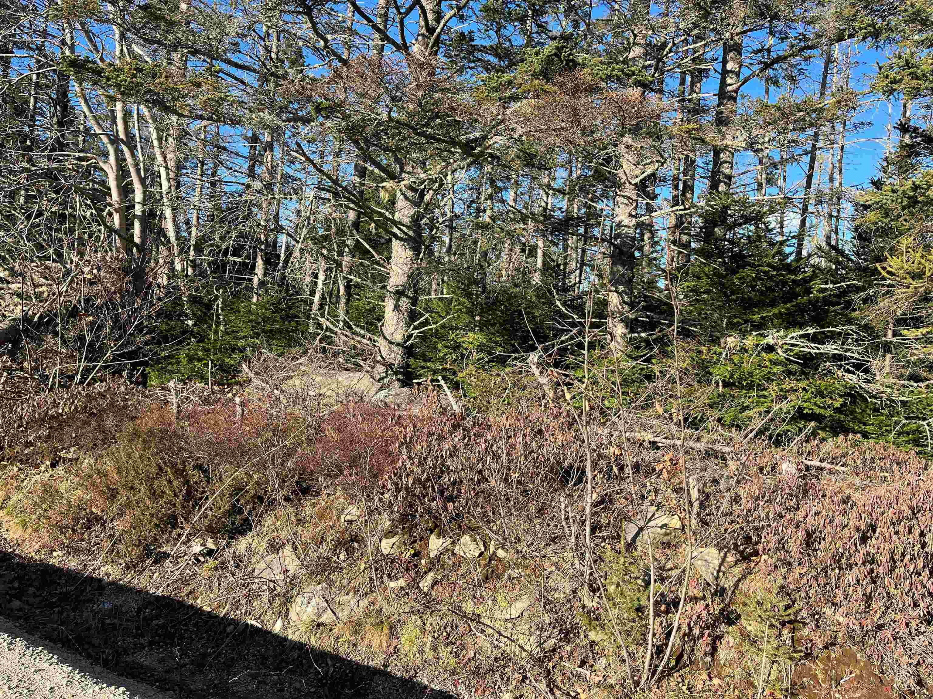 $36,000.00: Lot Argyle Head Road, Argyle Head