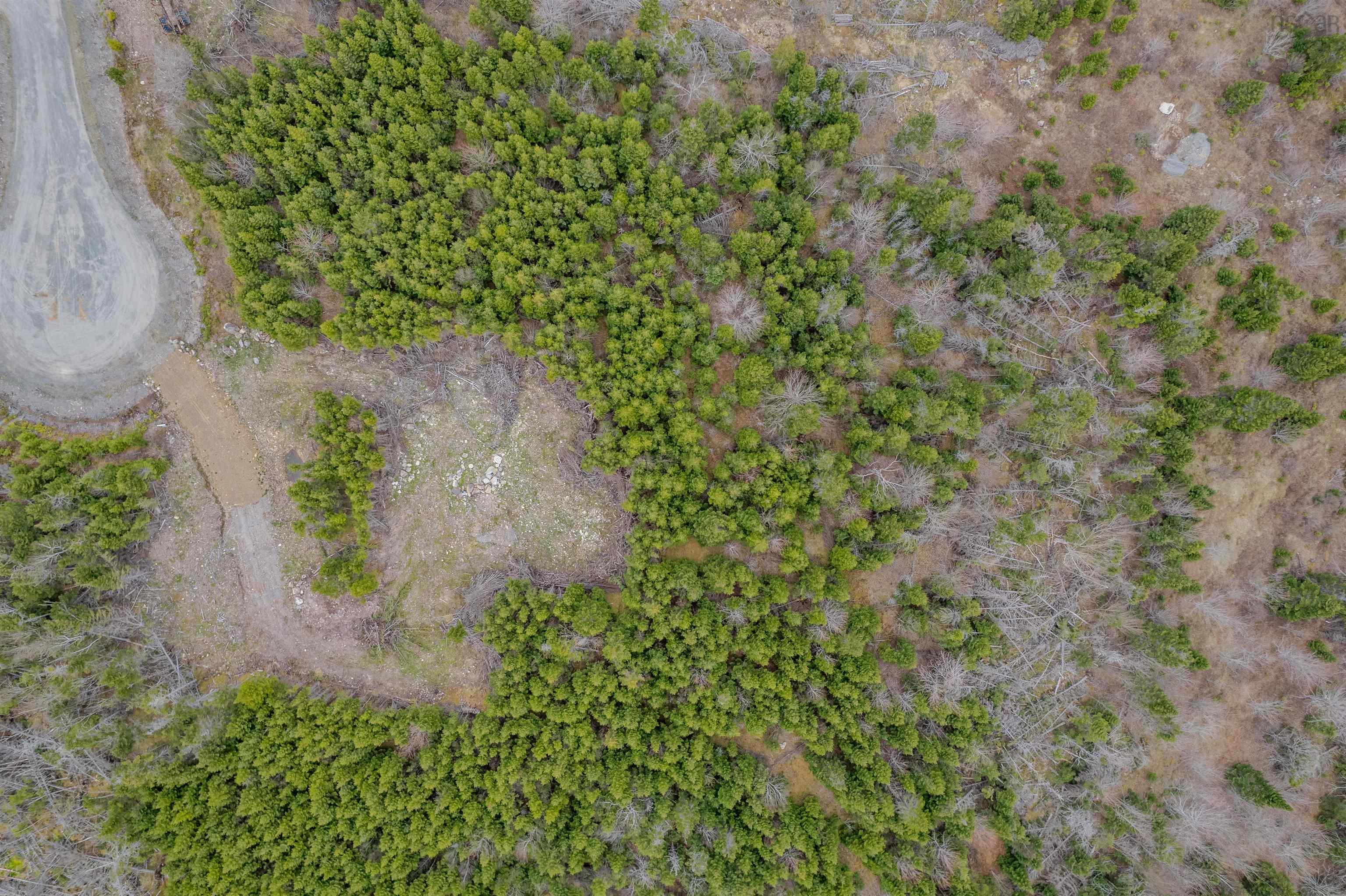 $39,000.00: Lot 7 Brewer Drive, Mira Gut