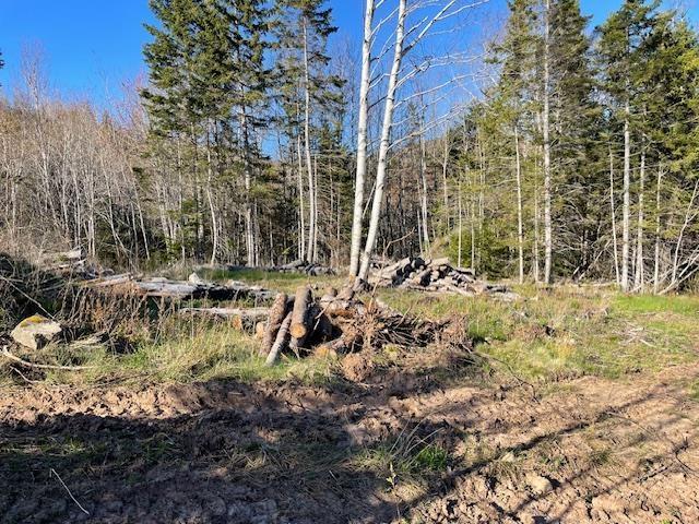 $25,000.00: 0000 Eskasoni Road, Island View