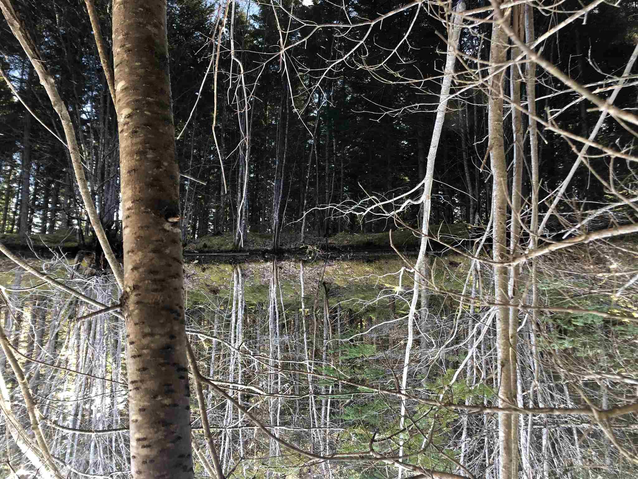 $28,000.00: Cameron Road, Iron Mines
