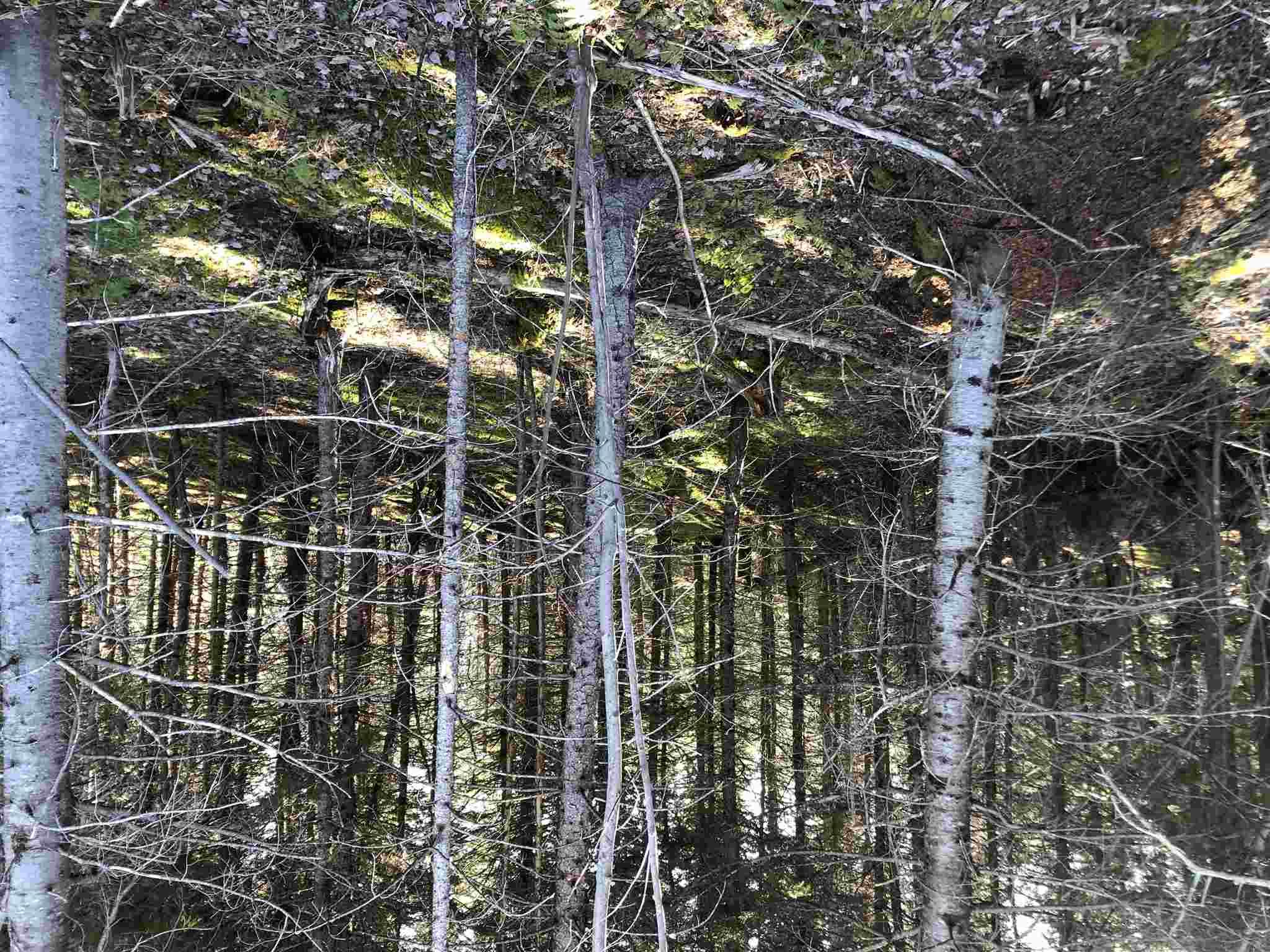 $28,000.00: Cameron Road, Iron Mines