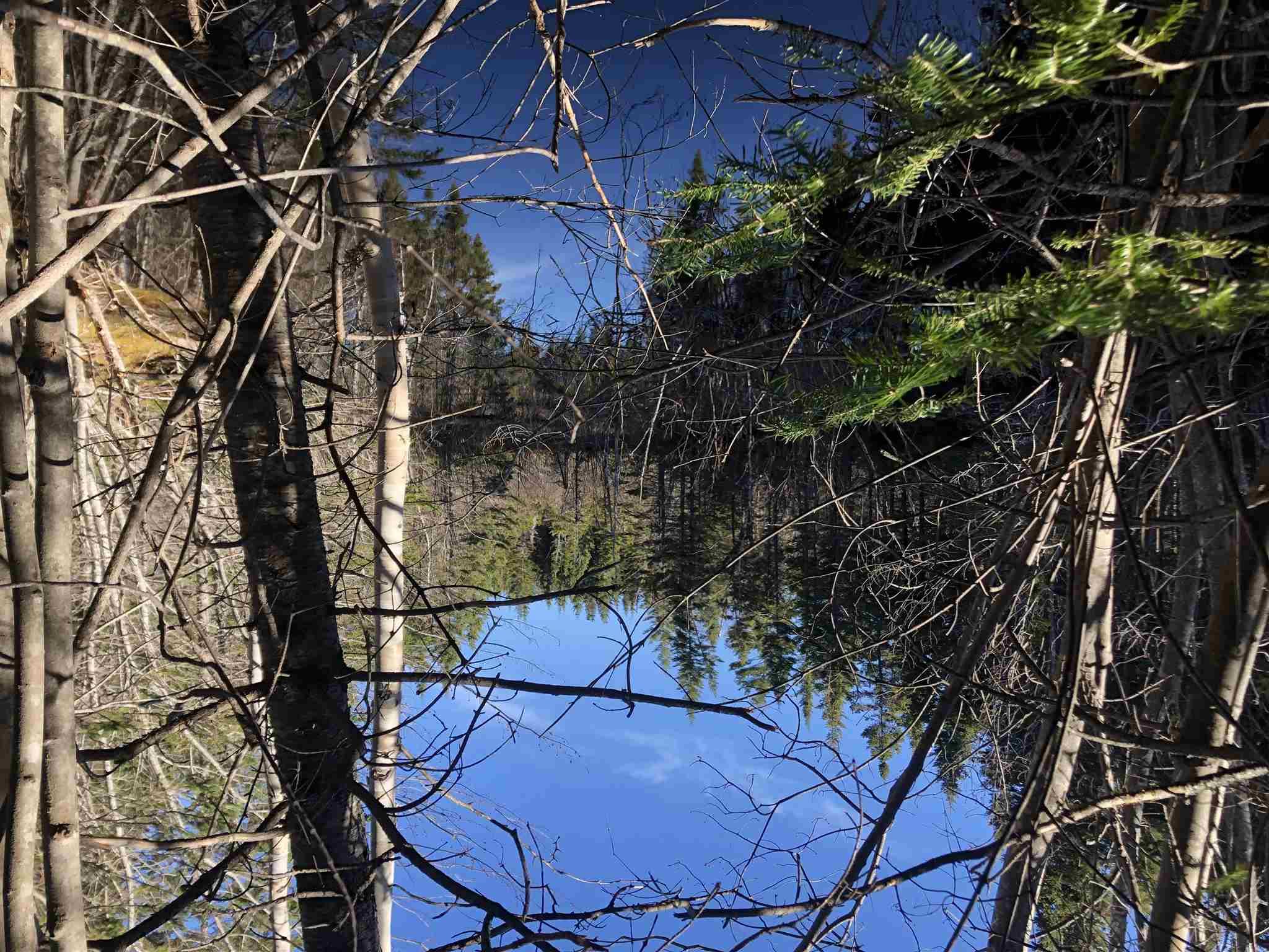$28,000.00: Cameron Road, Iron Mines
