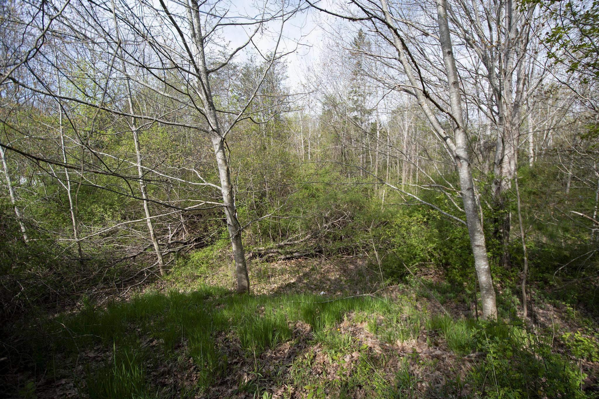 $35,000.00: Lots Lawrencetown Lane, Lawrencetown