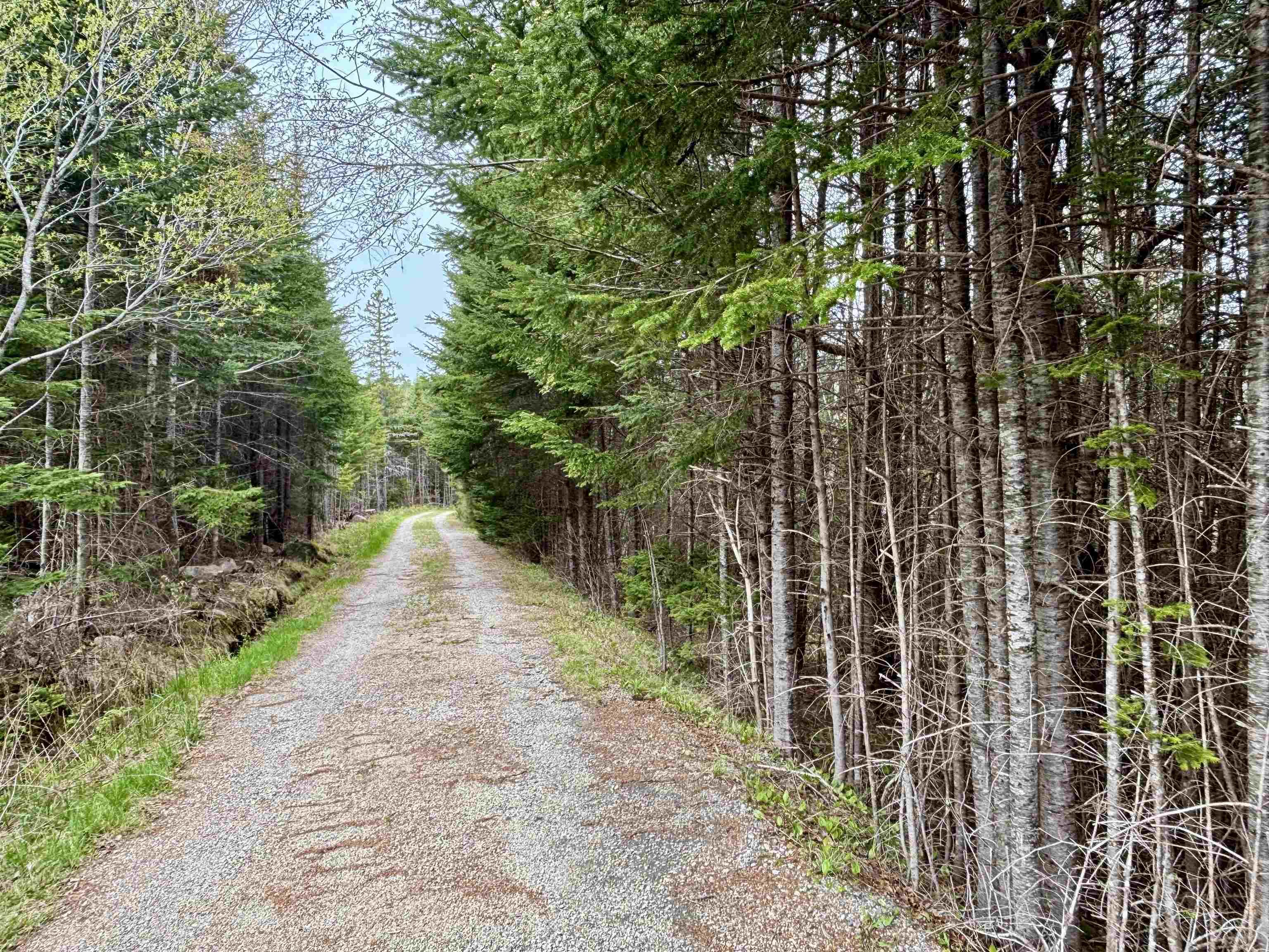 $525,000.00: 74 Old Oakland Road, Indian Point