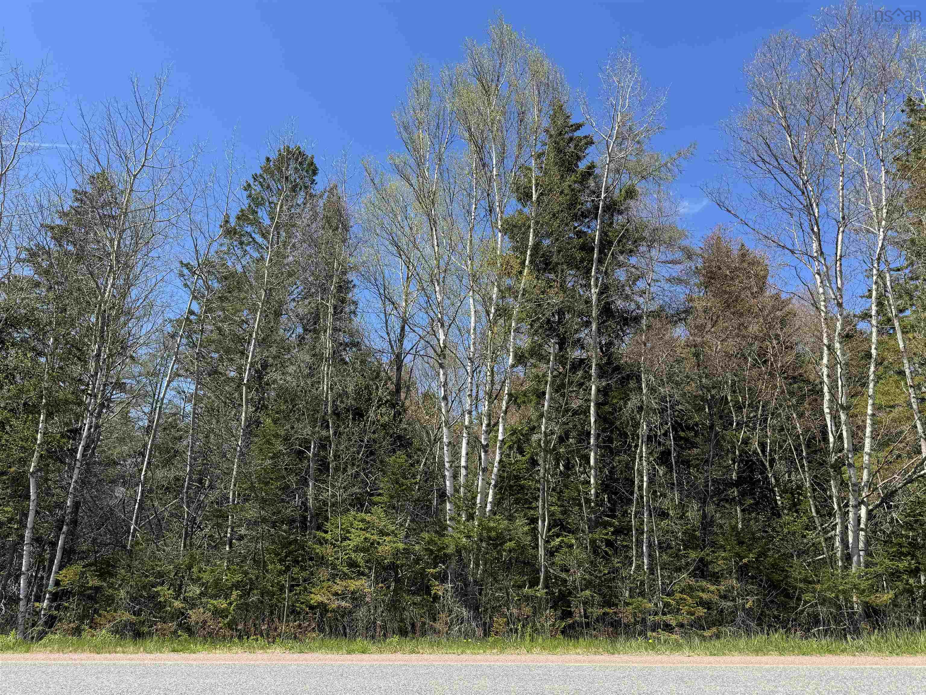 Lot 4 Highway 509, Lower Maccan, NS (MLS 202510964)