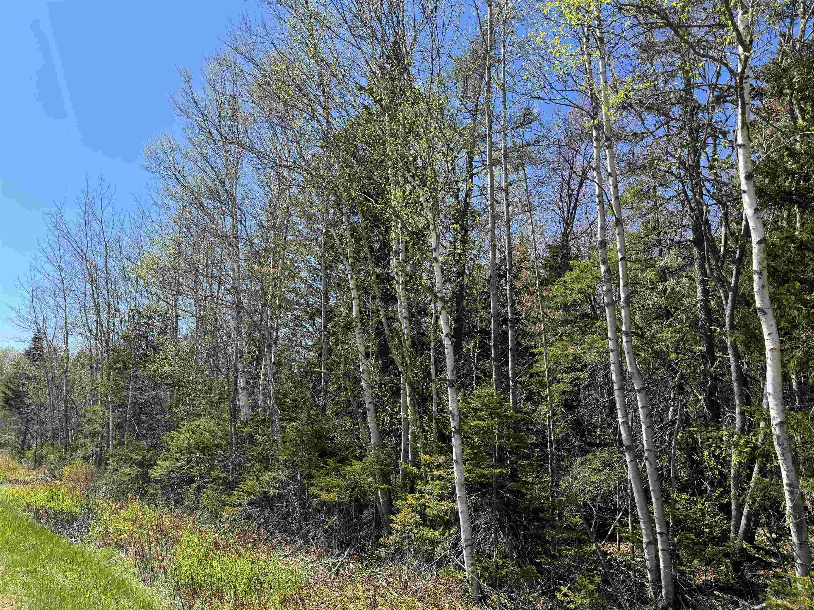 $26,500.00: Lot 4 Highway 509, Lower Maccan