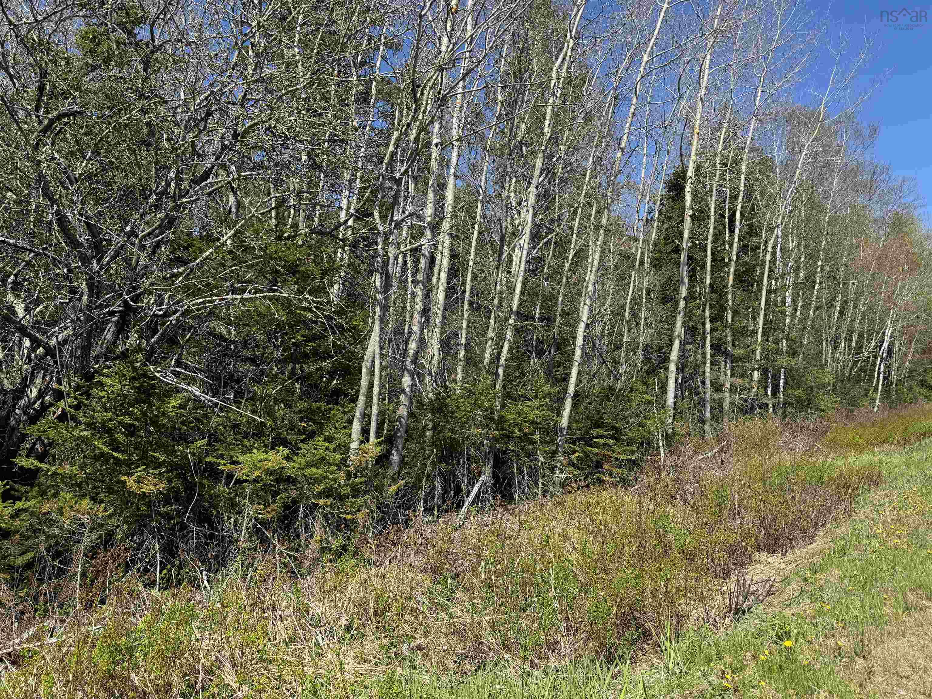 $26,500.00: Lot 4 Highway 509, Lower Maccan