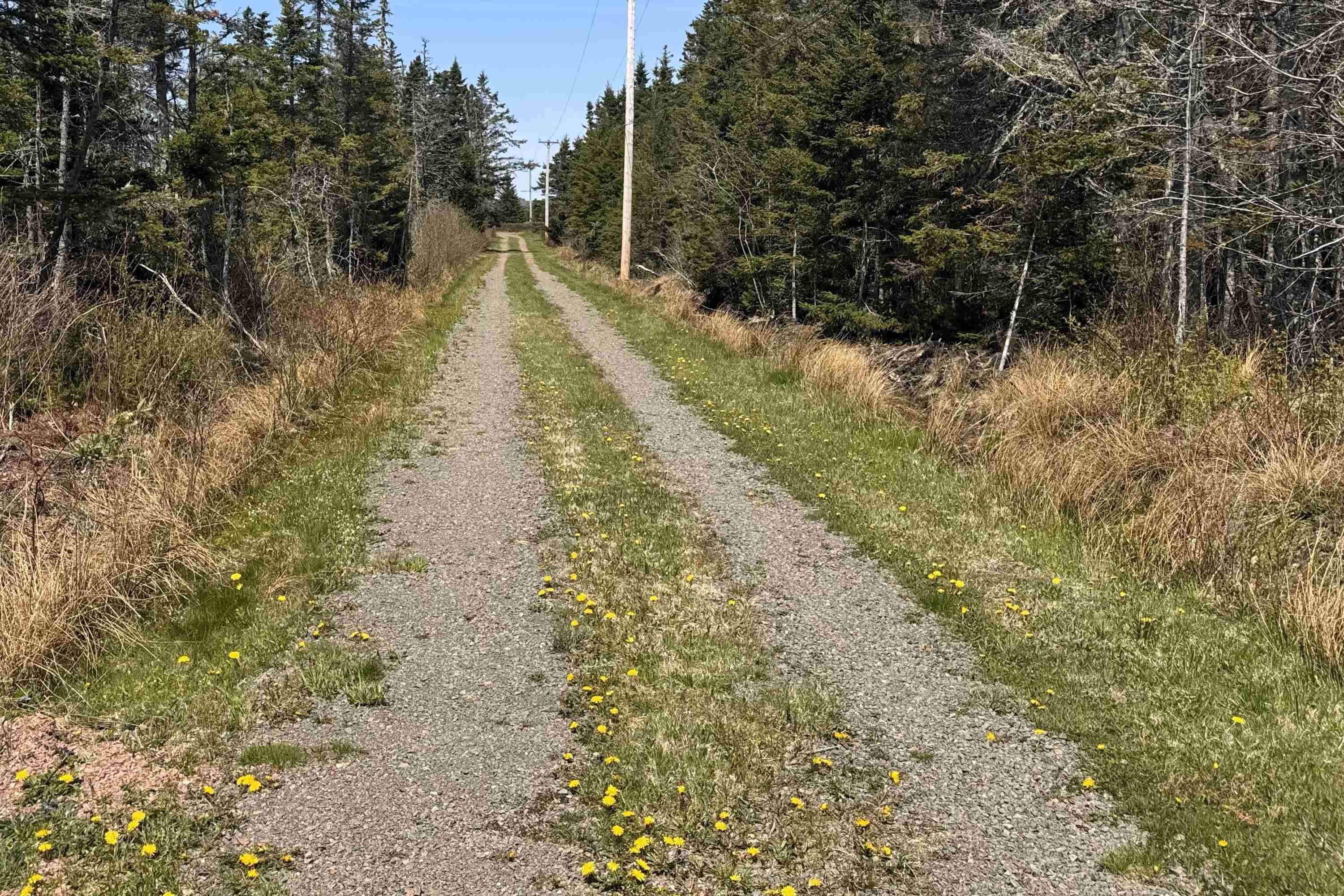$109,000.00: 19-5 Diligent River Road, Diligent River