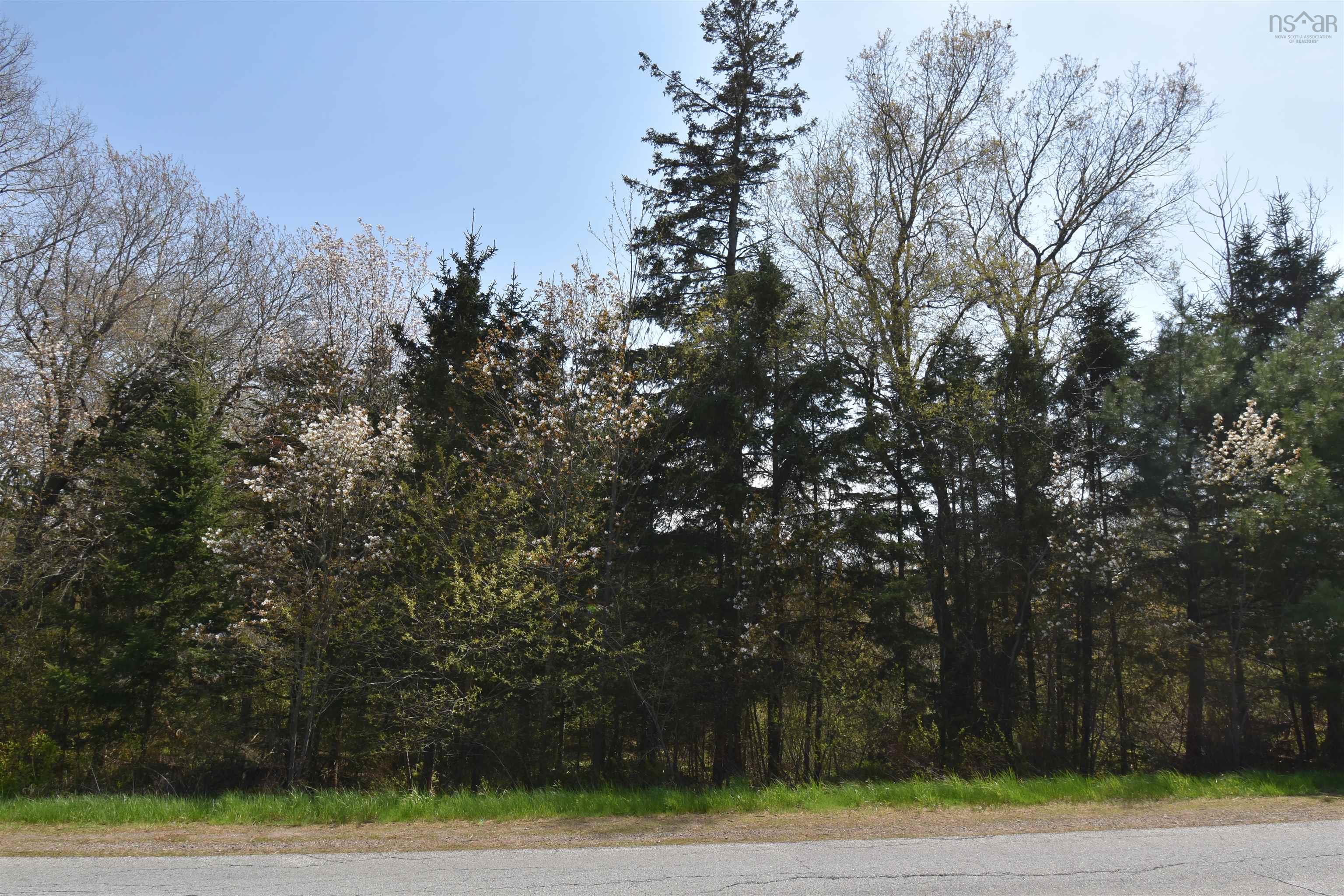 $39,900.00: Lot 79-31 STEWIACKE Road, West St Andrews
