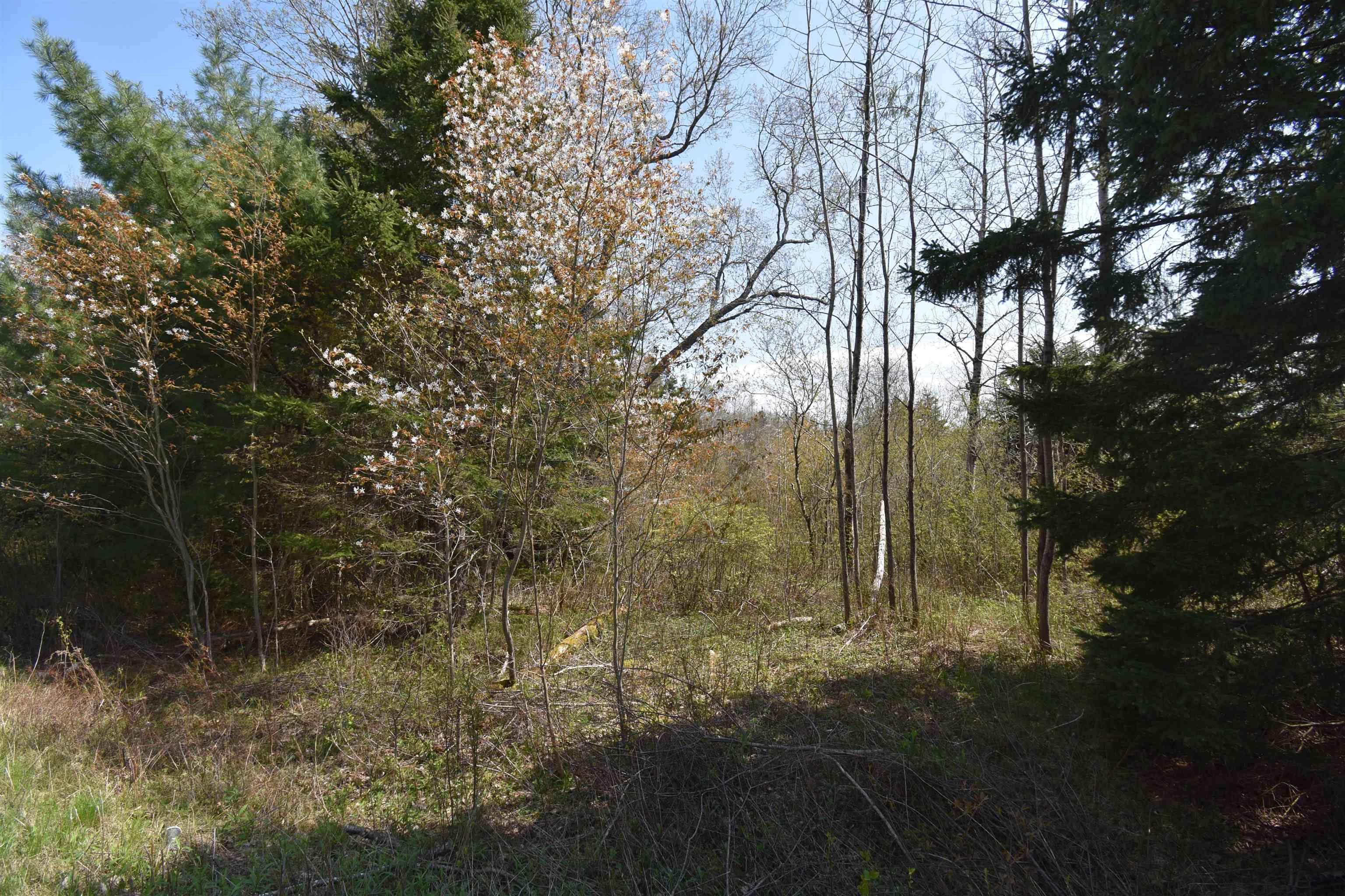 $39,900.00: Lot 79-31 STEWIACKE Road, West St Andrews