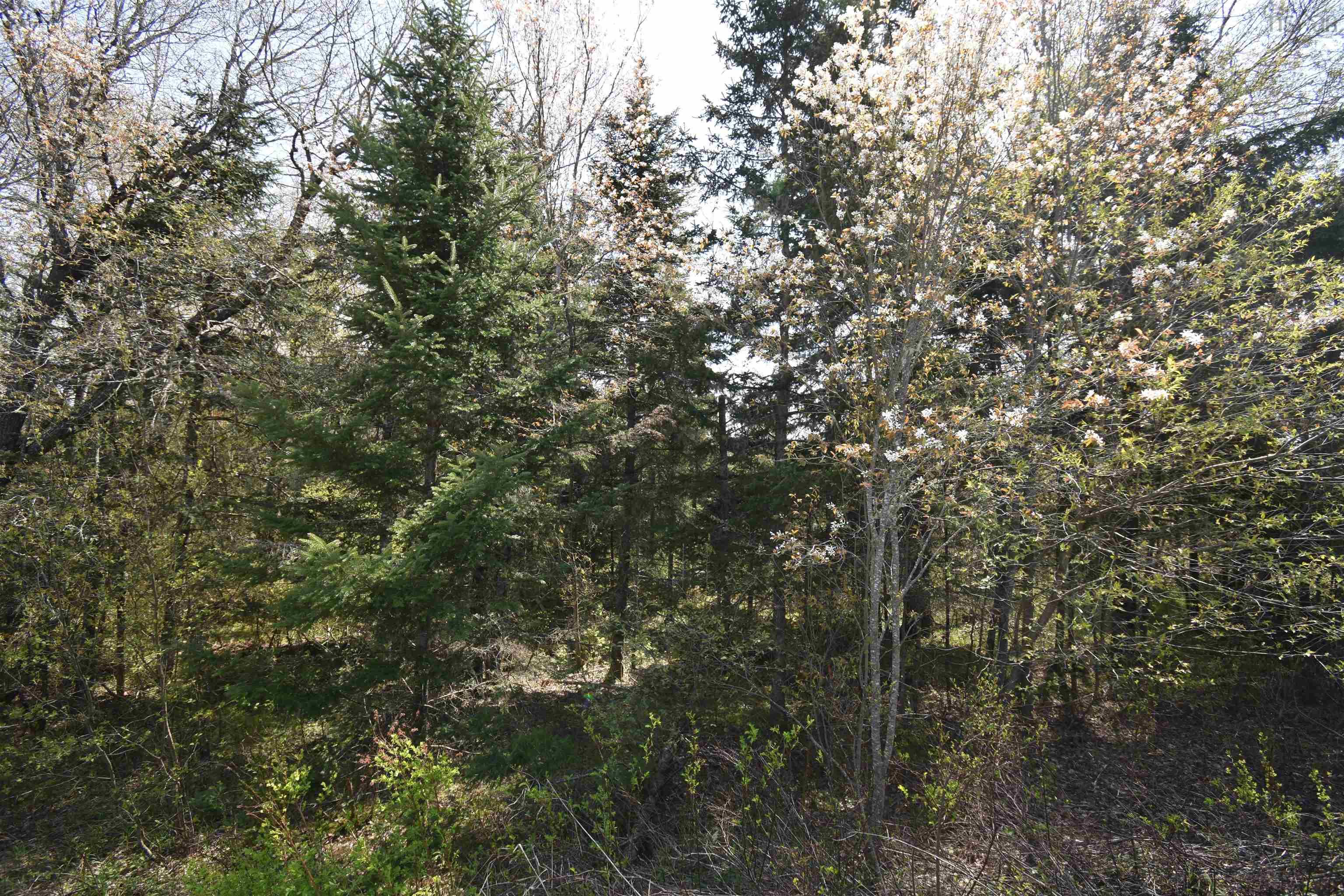 $39,900.00: Lot 79-31 STEWIACKE Road, West St Andrews
