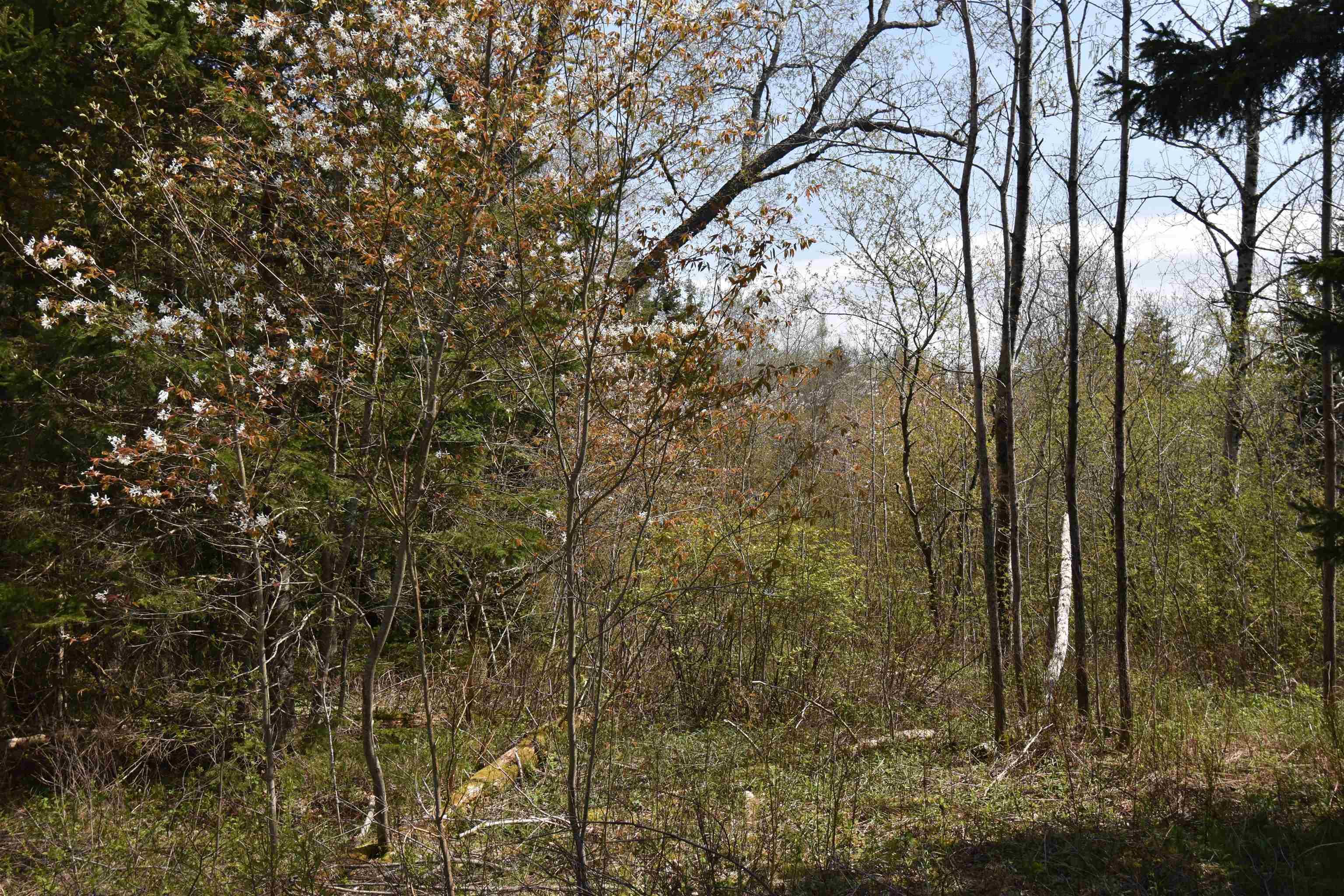 $39,900.00: Lot 79-31 STEWIACKE Road, West St Andrews